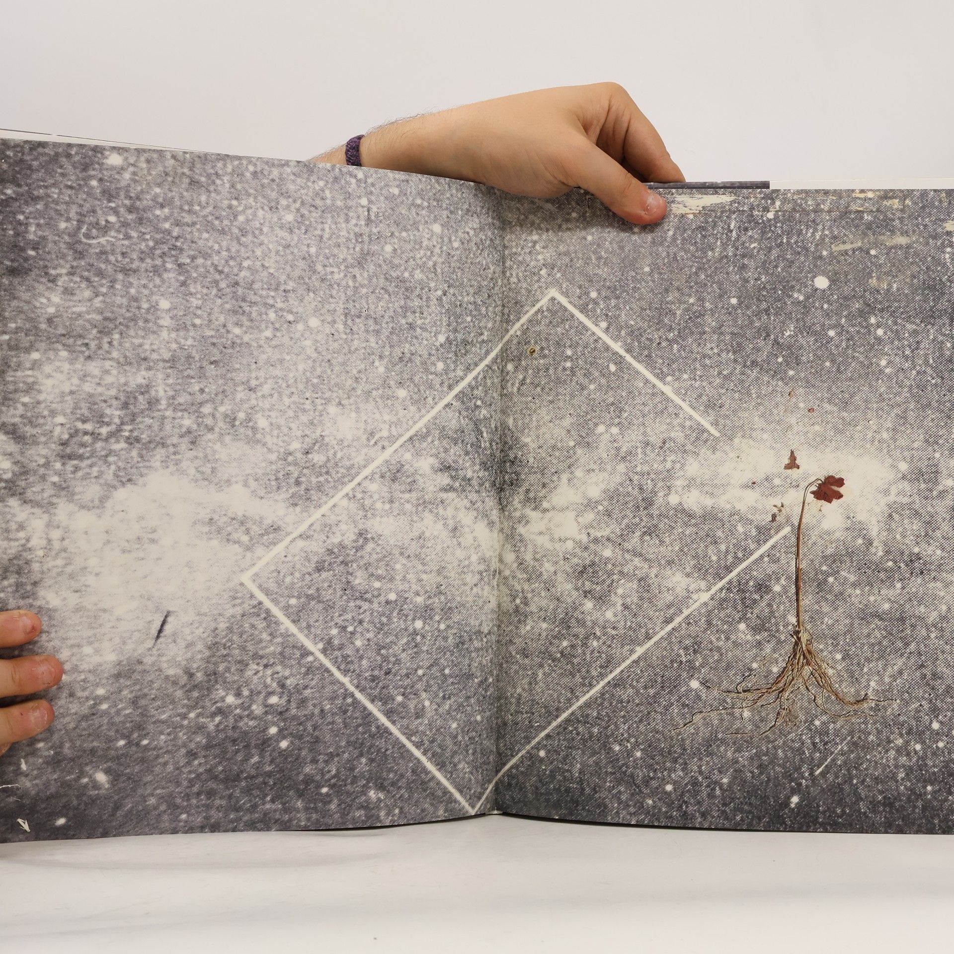 Anselm Kiefer The Secret Life of Plants