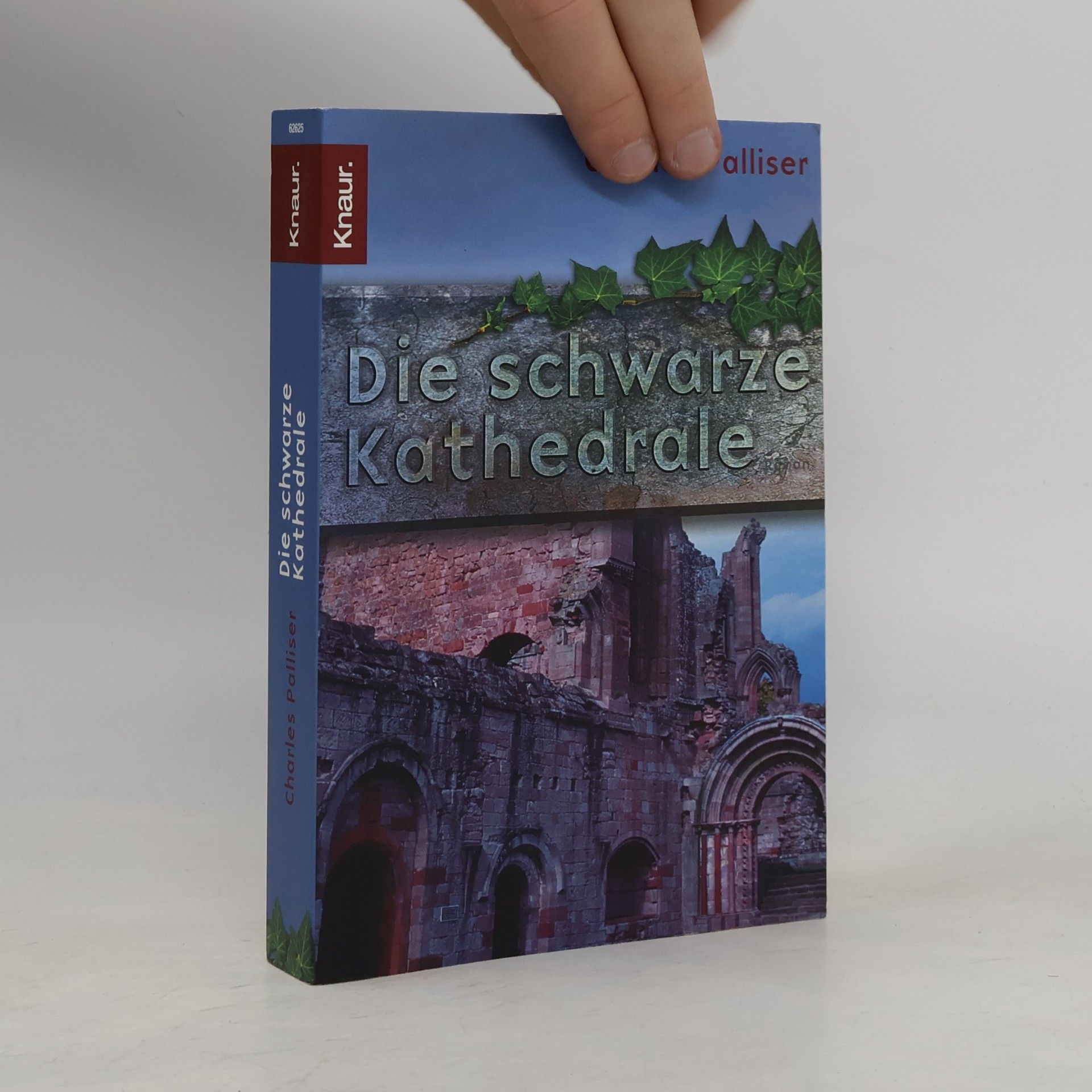 Die schwarze Kathedrale