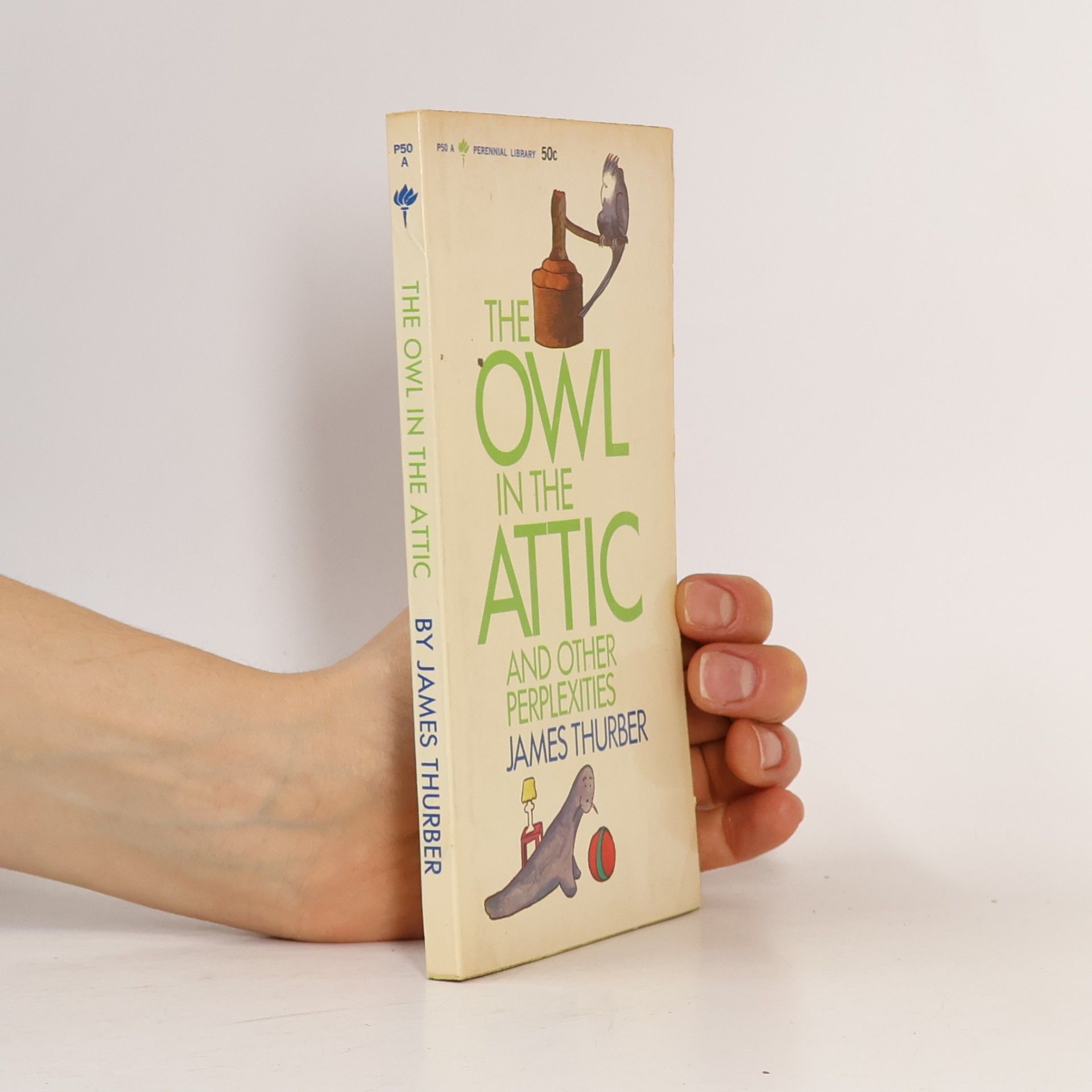 The Owl in the Attic and Other Perplexities