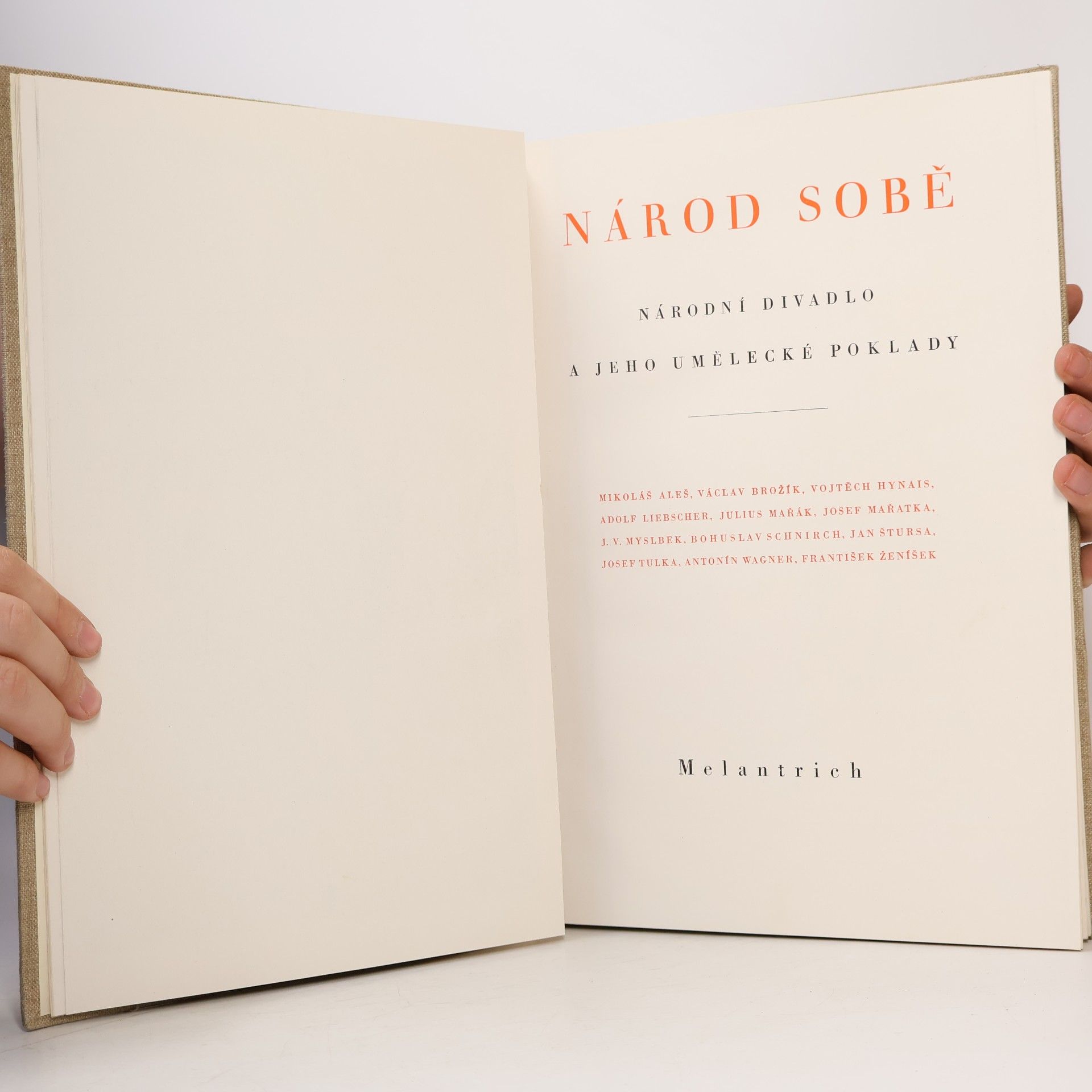 Various authors Národ sobě