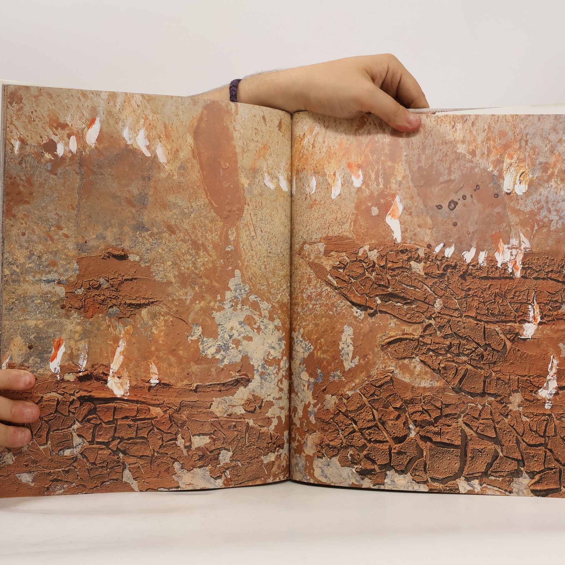 Anselm Kiefer Aperiatur terra