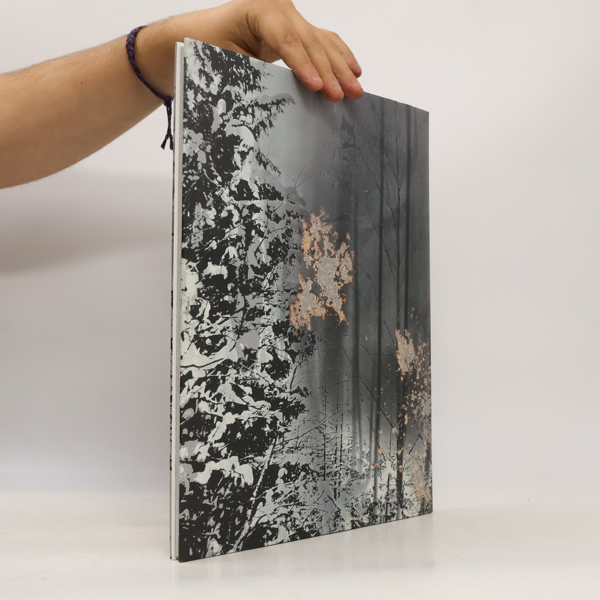 Anselm Kiefer Kühlstaub
