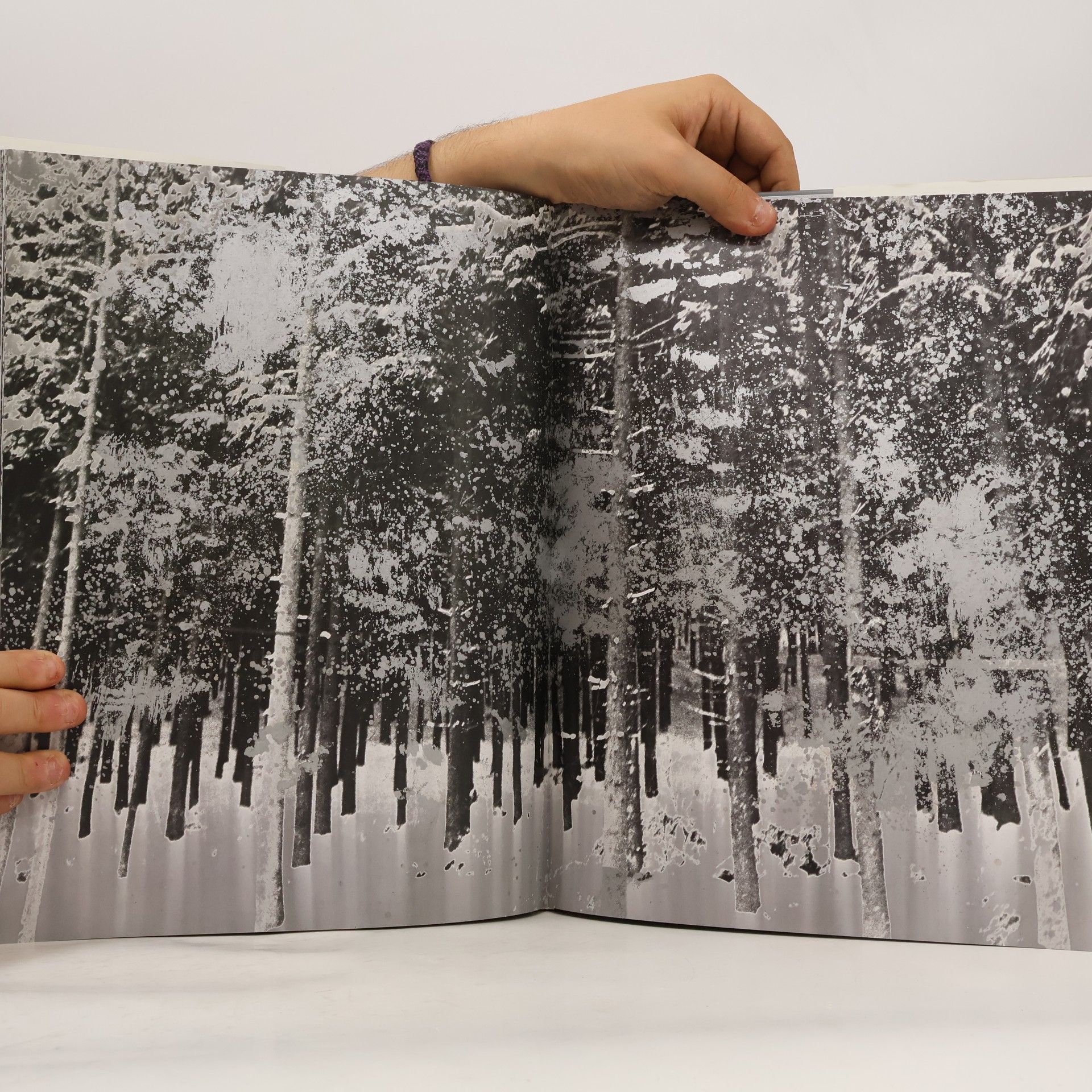 Anselm Kiefer Kühlstaub