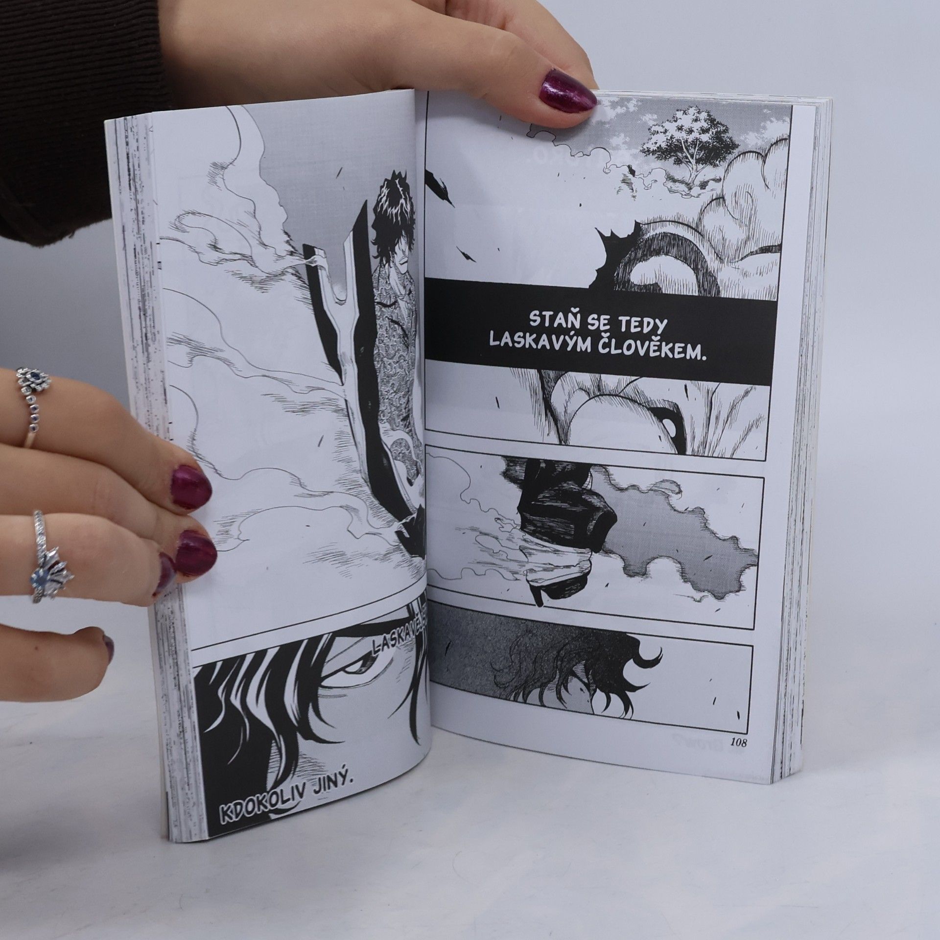 Tite Kubo Bleach. 5, Rightarm of the giant. česky