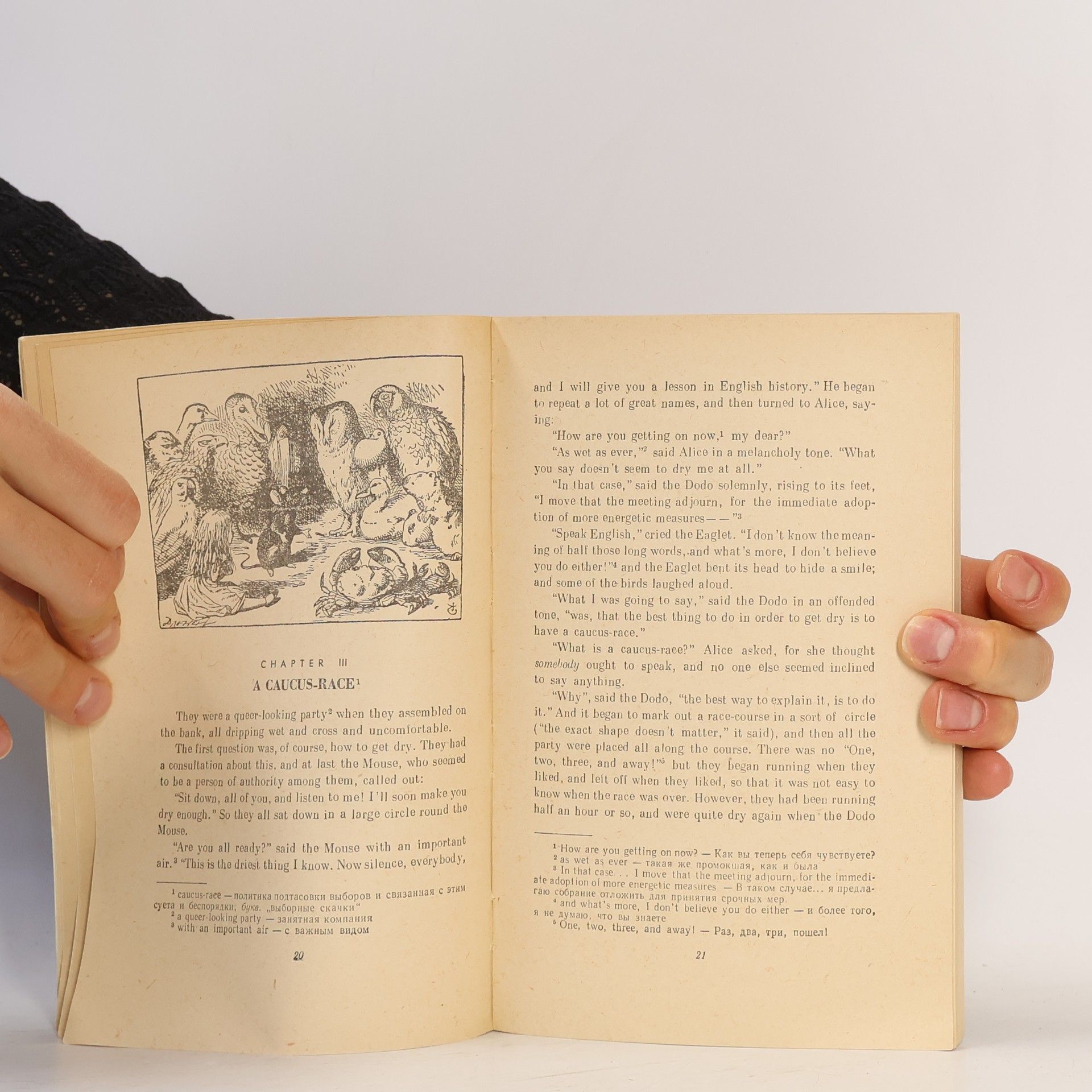 Lewis Carroll Alice in Wonderland