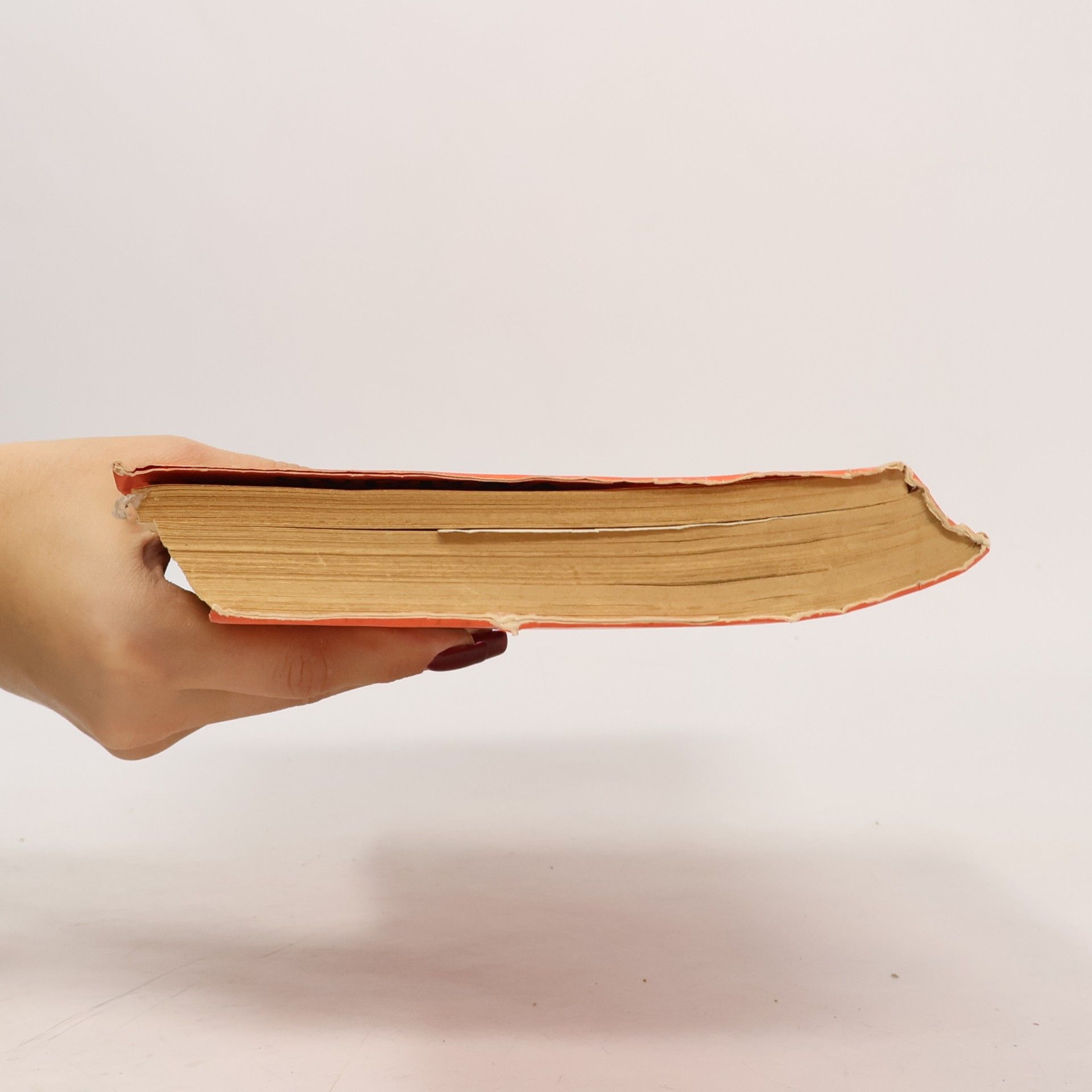 Ipousteguy SVĚTOVÁ LITERATURA