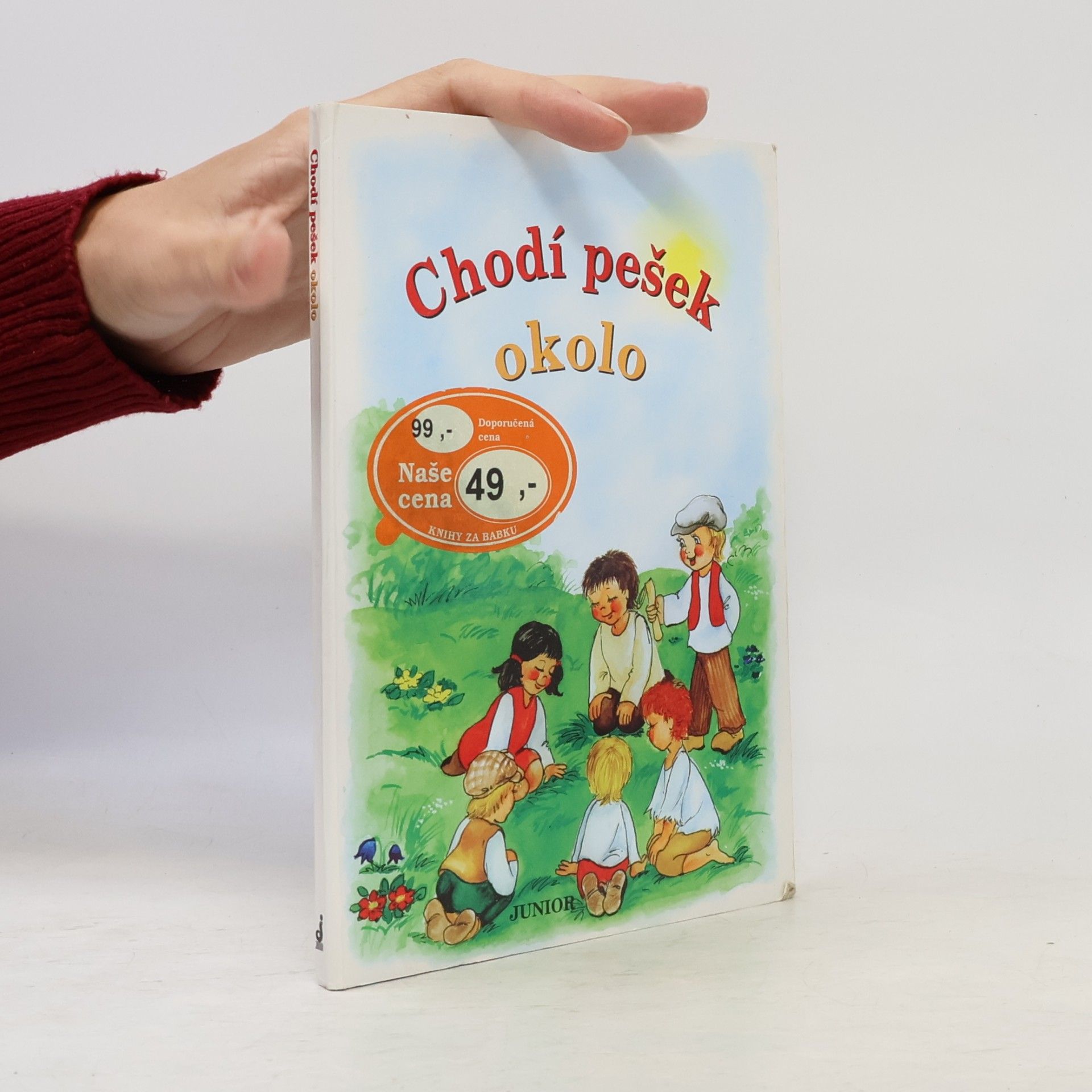 Vladimíra Vopičková Chodí pešek okolo (leporelo)