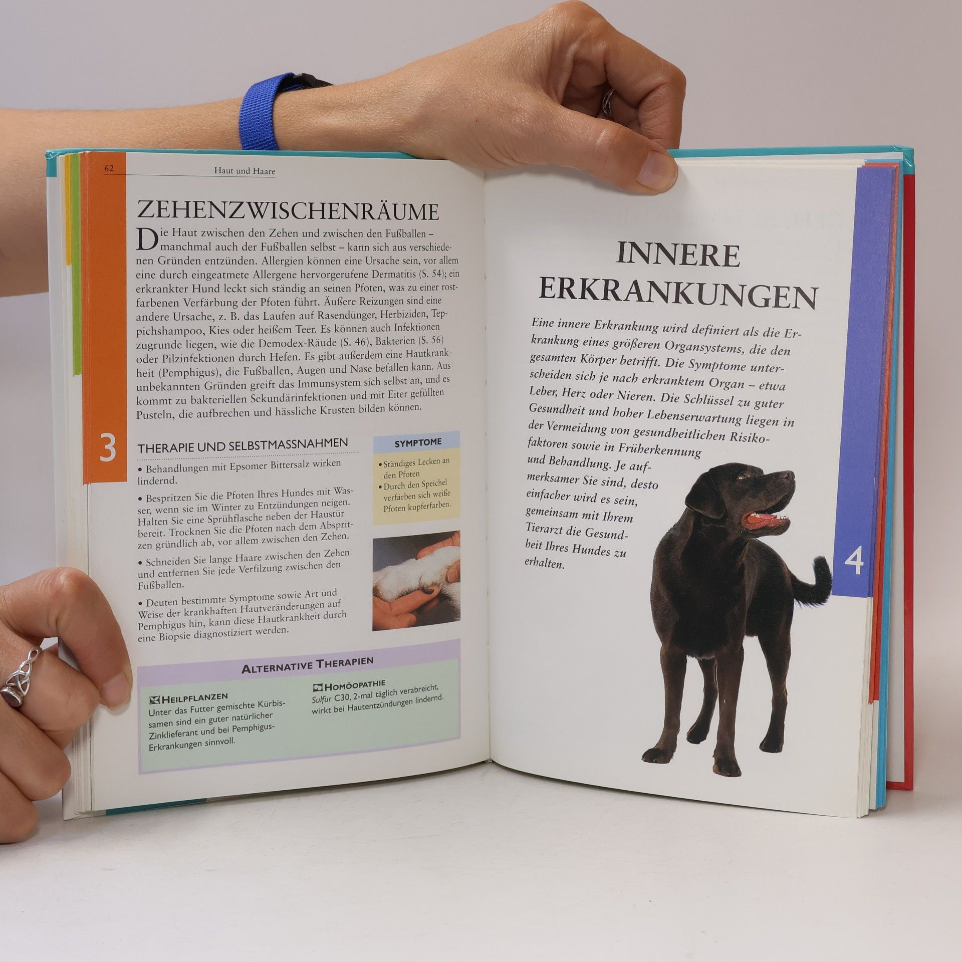 Carol Osborne Hunde
