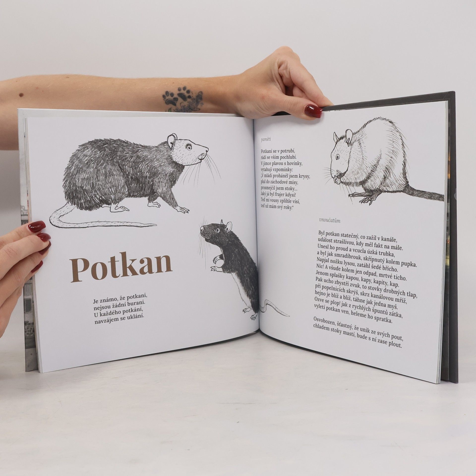 Autorenkollektiv Uličníci