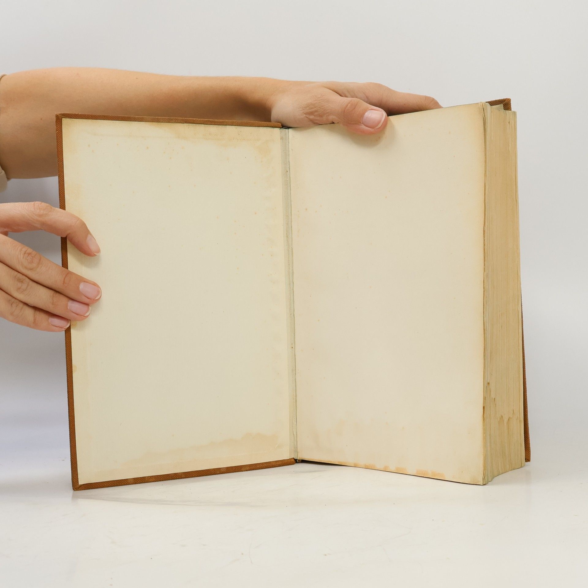 Autorenkollektiv Der neue Brockhaus I
