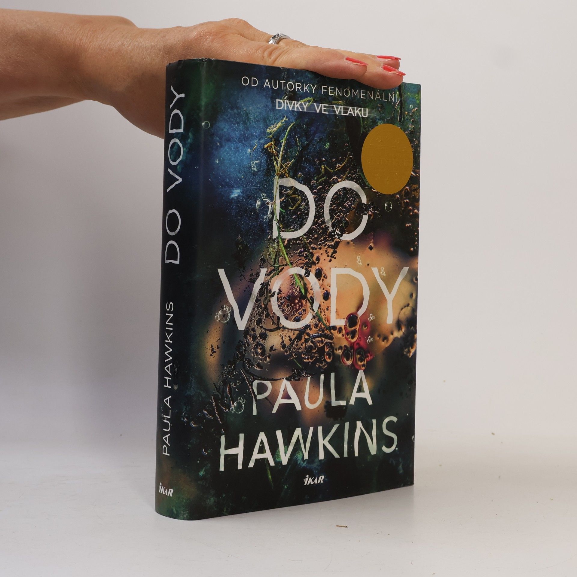 Paula Hawkins Do vody