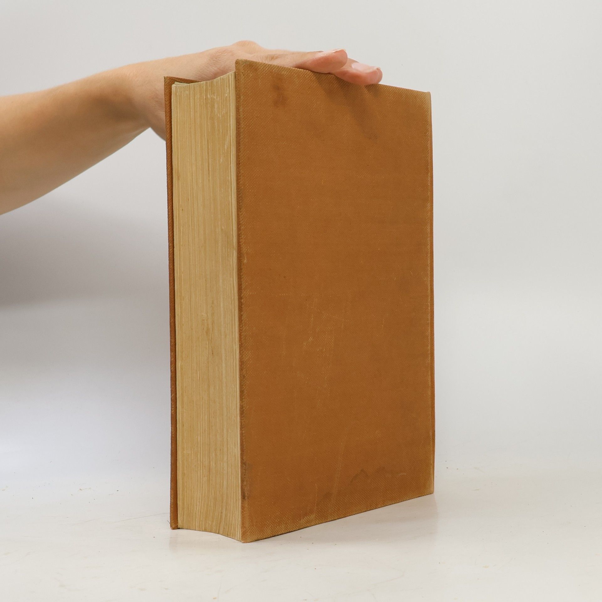 Autorenkollektiv DER NEUE BROCKHAUS