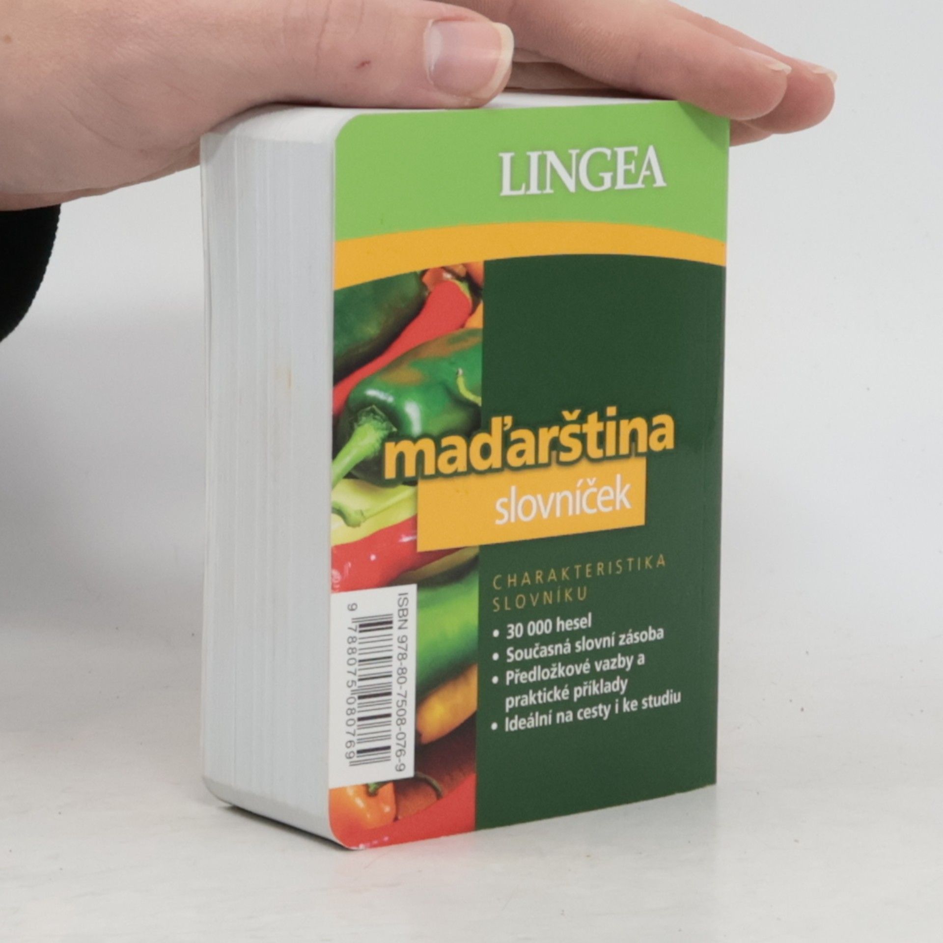 Autorenkollektiv Maďarština. Slovníček