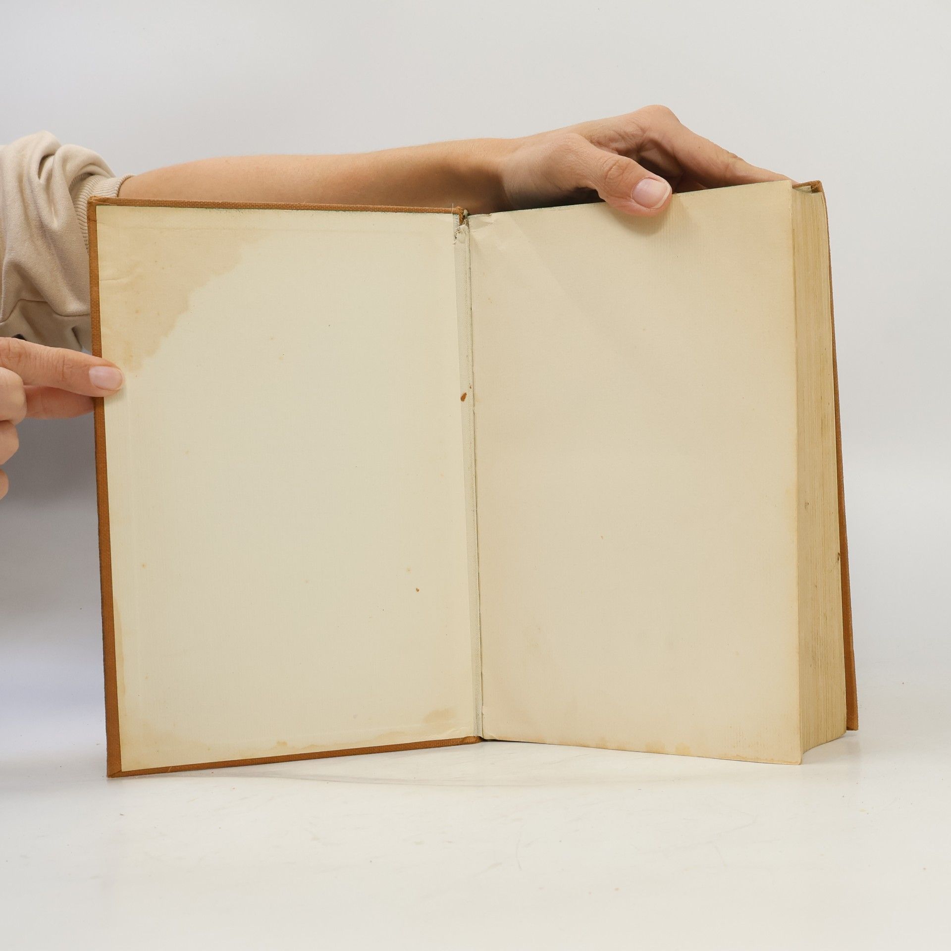 Autorenkollektiv Der neue Brockhaus