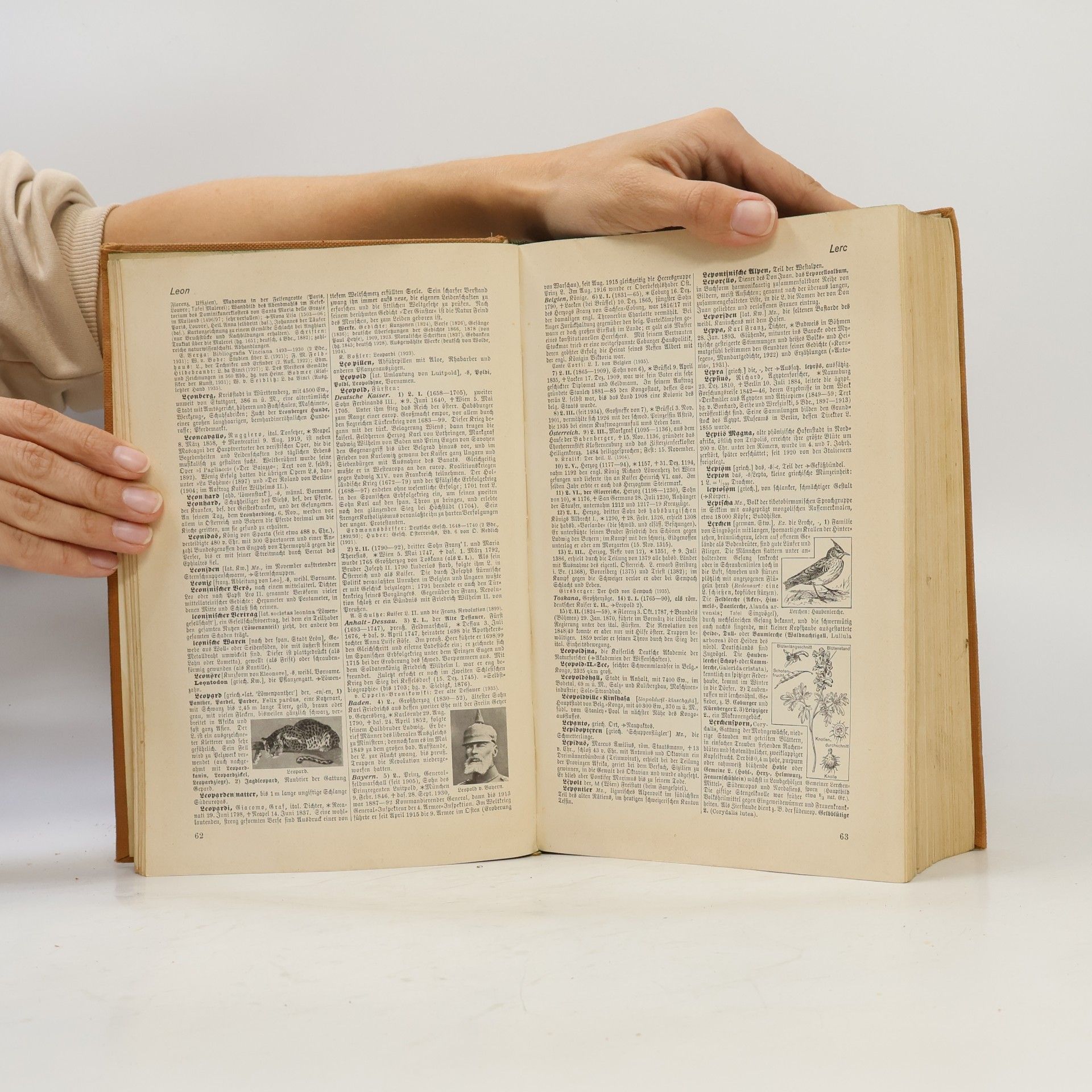 Autorenkollektiv Der neue Brockhaus