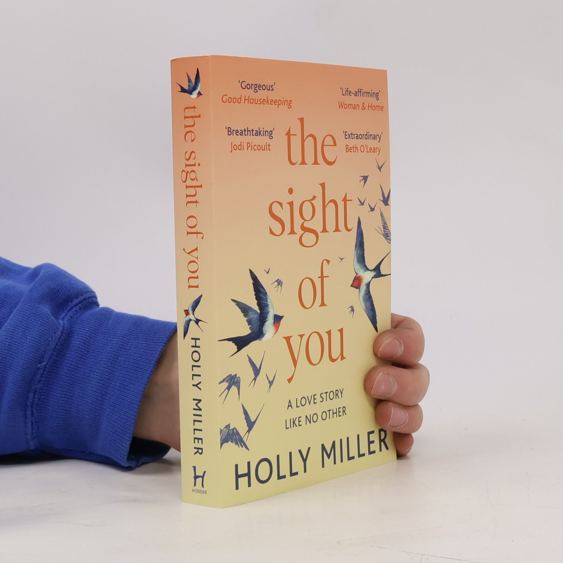 Holly Miller The Sight of You
