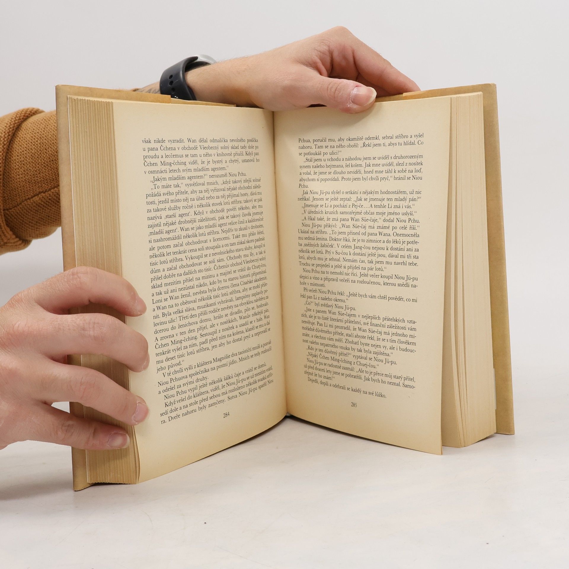 Jingzi Wu Literáti a mandaríni : neoficiální kronika Konfuciánů