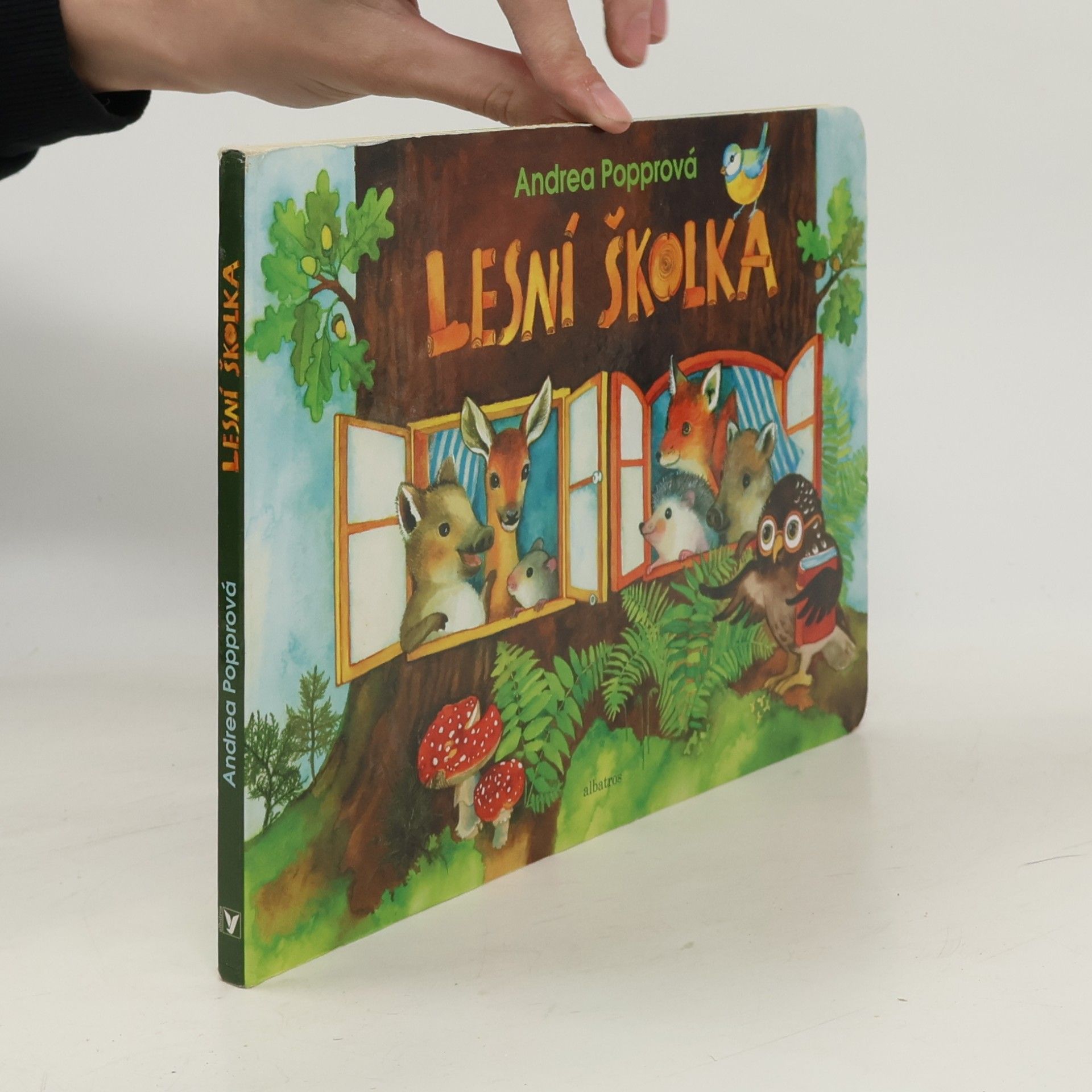 Lesní školka