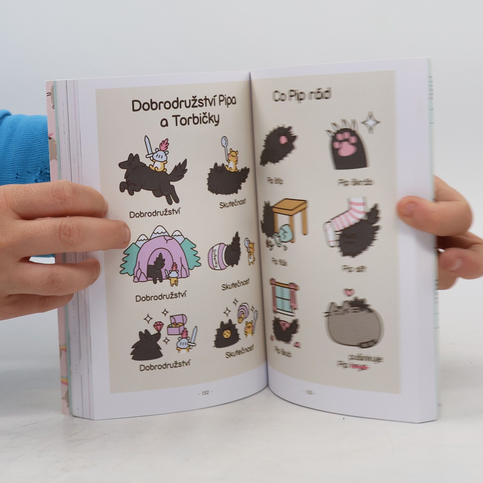 Claire Belton Pusheen : košišatý návod na život