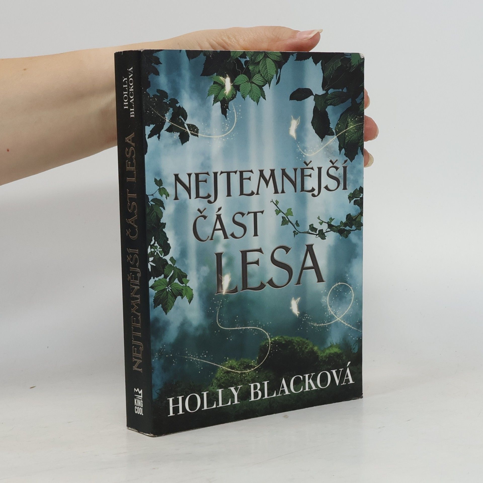 Holly Black Nejtemnější část lesa