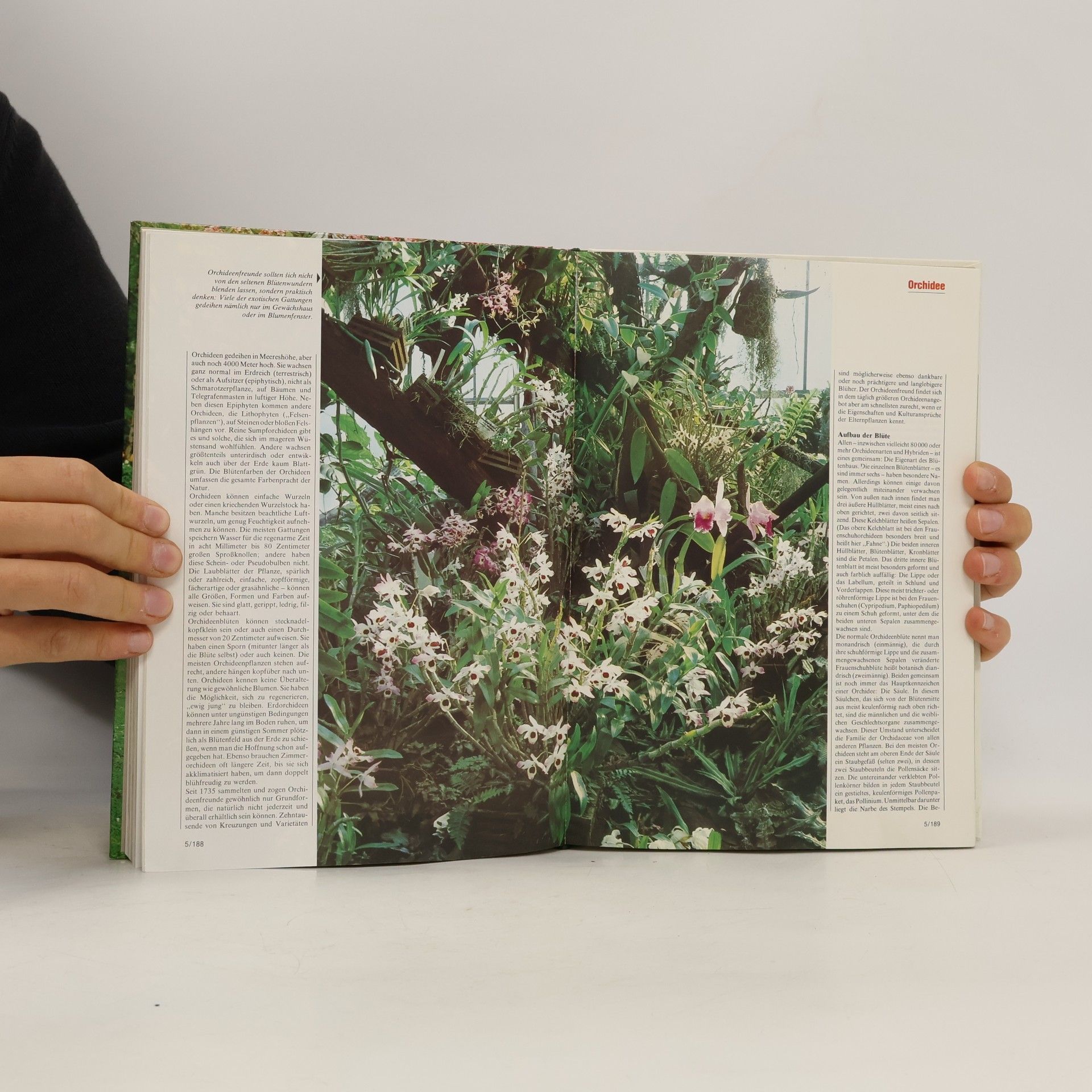 Autorenkollektiv Blumen und Garten 5