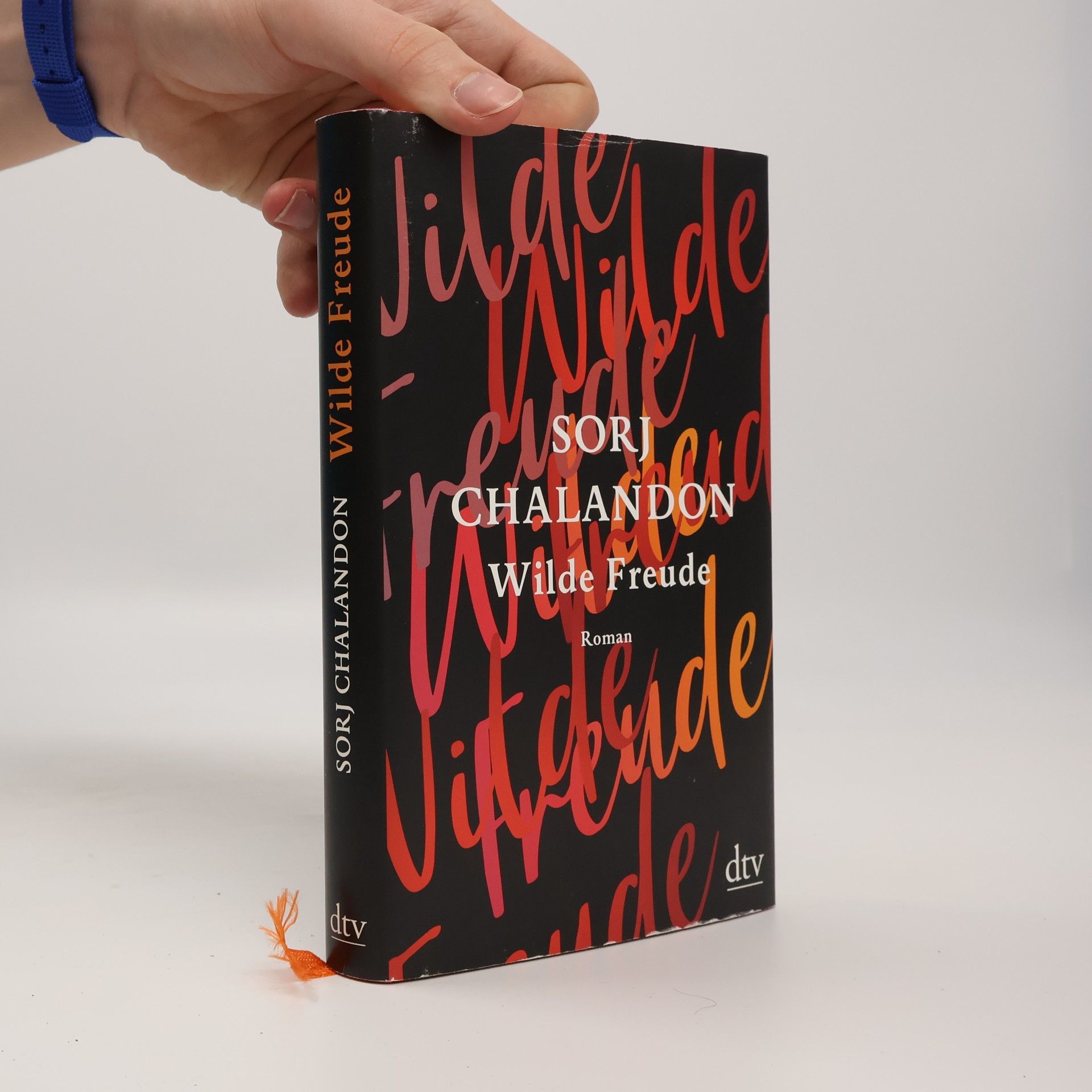 Sorj Chalandon Wilde Freude