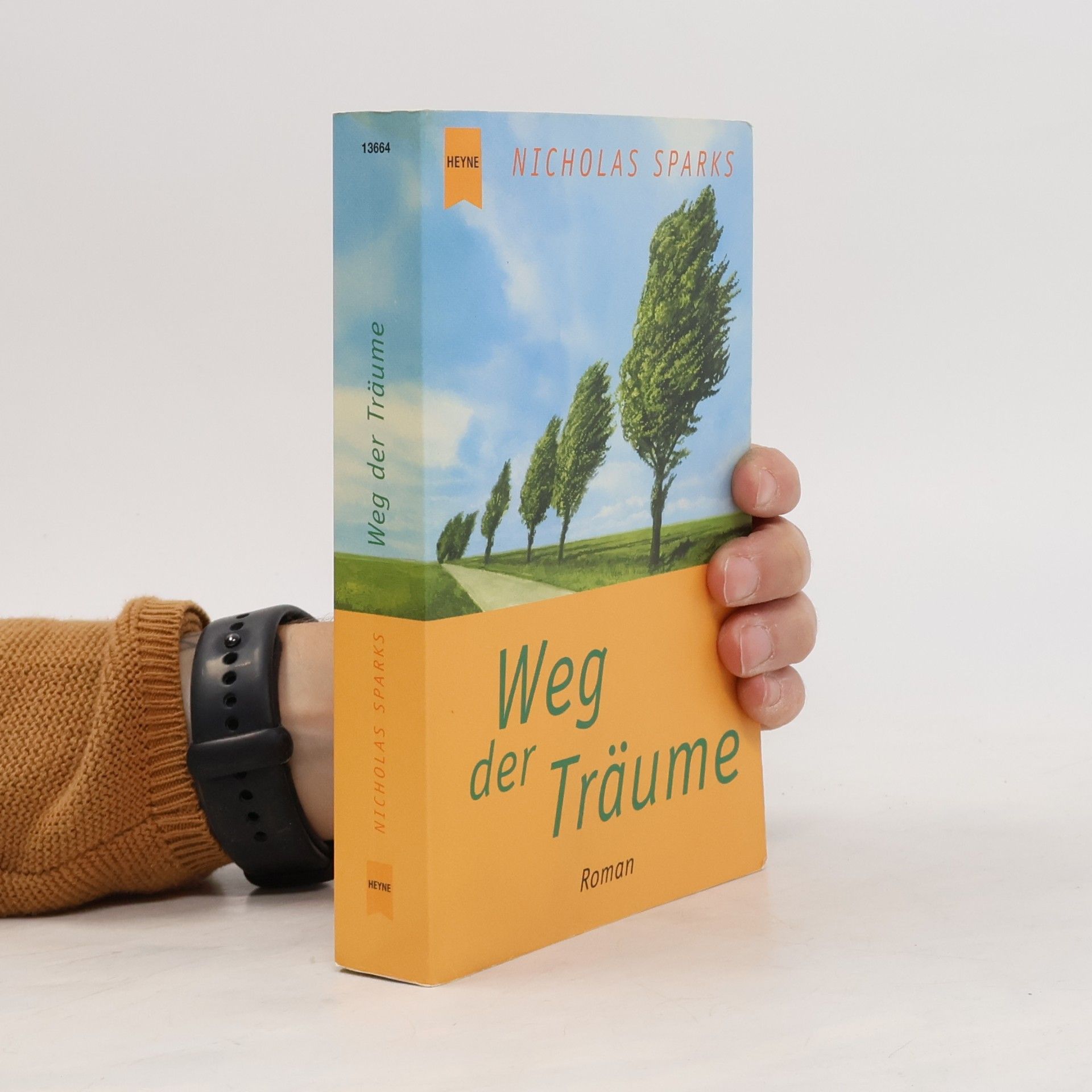 Nicholas Sparks Weg der Träume