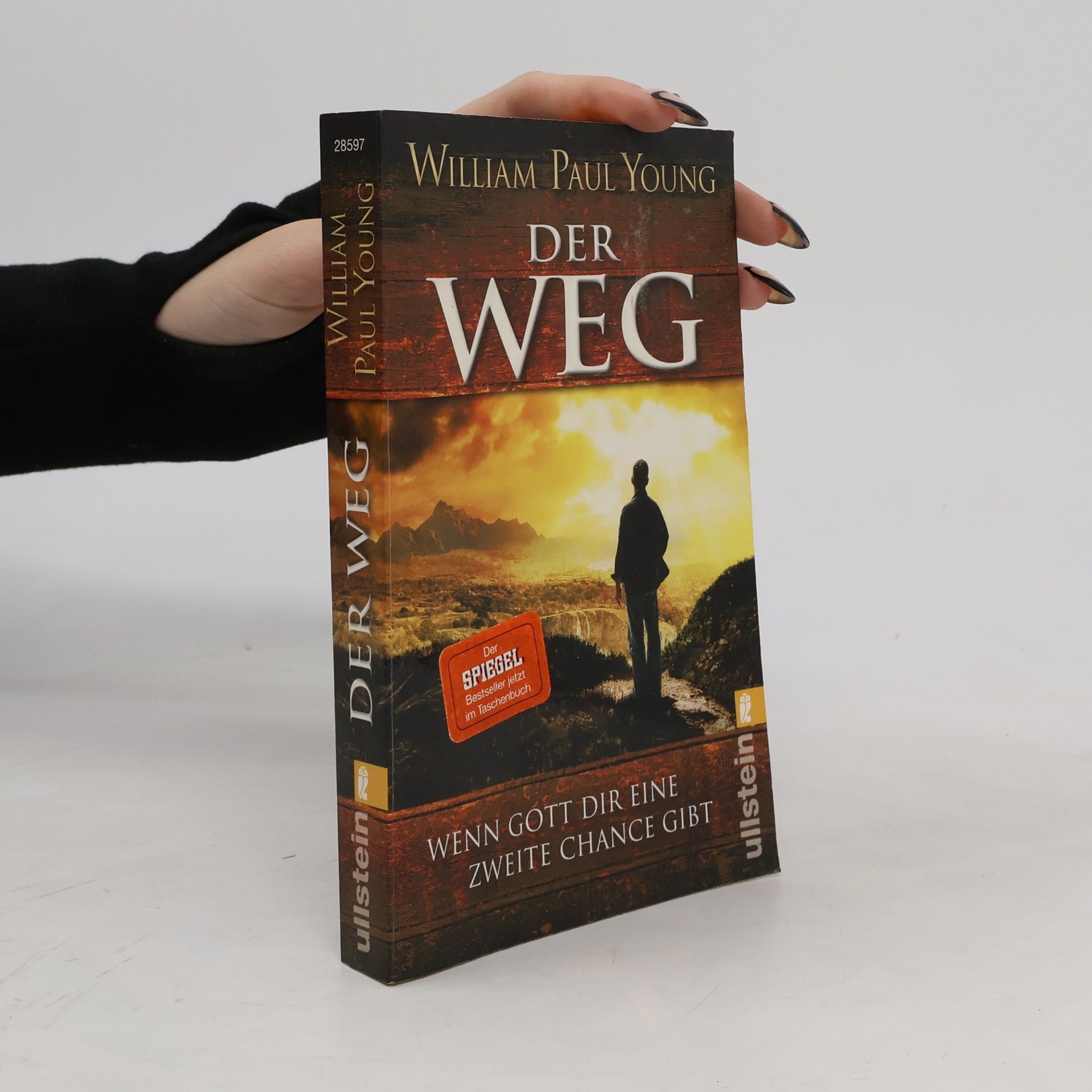 William P. Young Der Weg