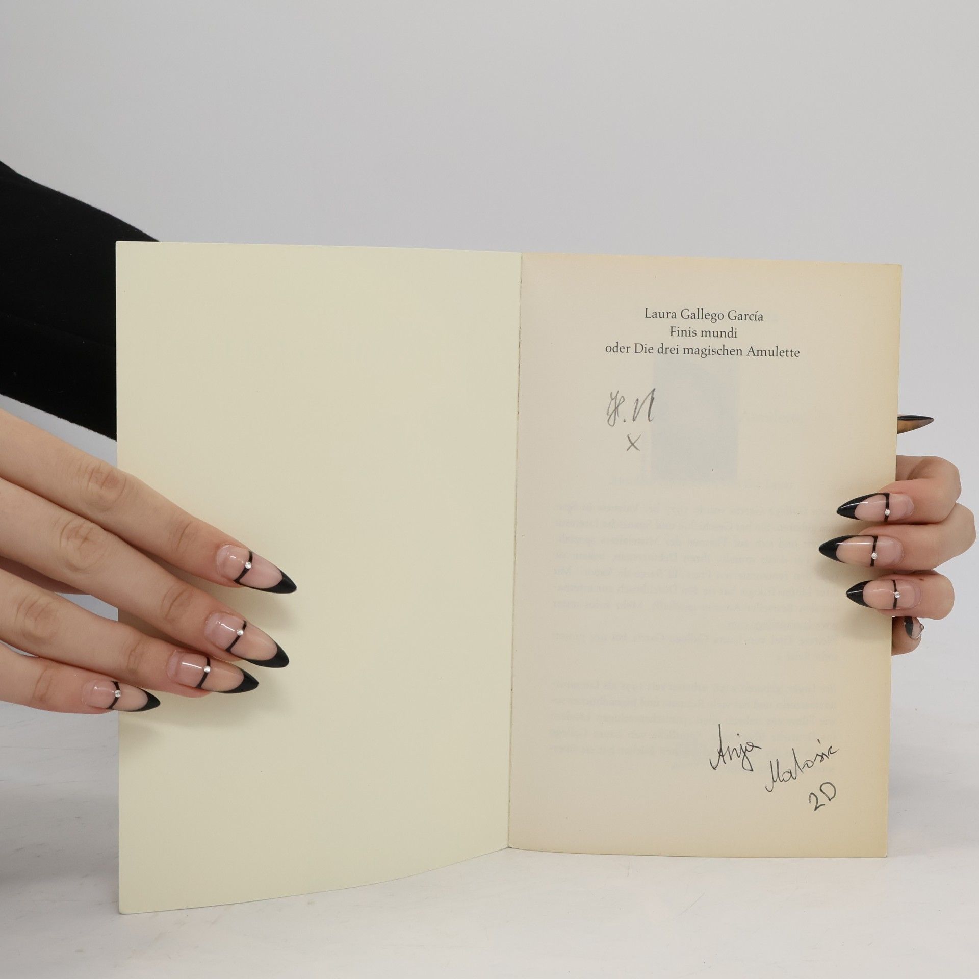 Laura Gallego García Finis mundi oder die drei magischen Amulette