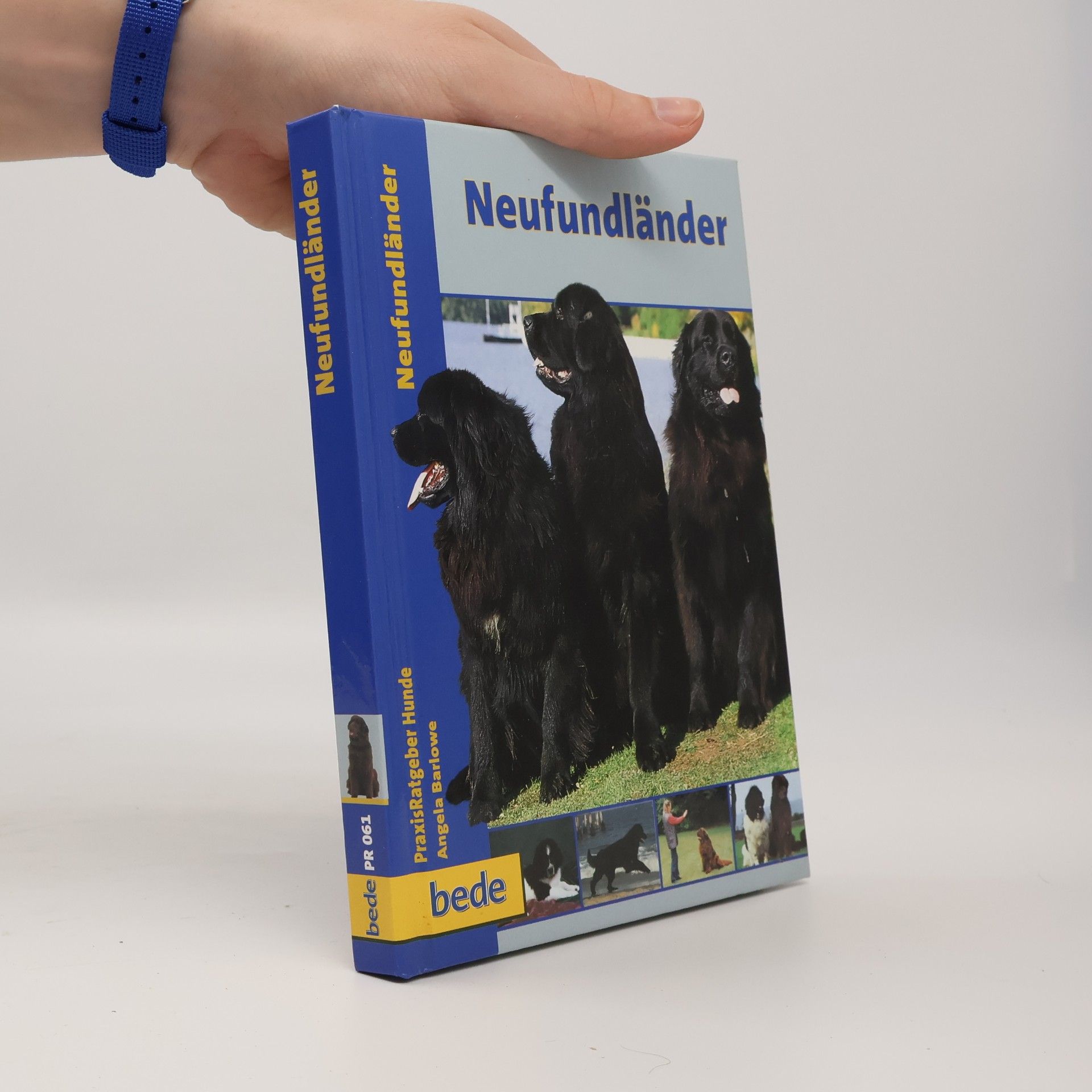 Angela Barlowe Neufundländer Praxisratgeber Hunde