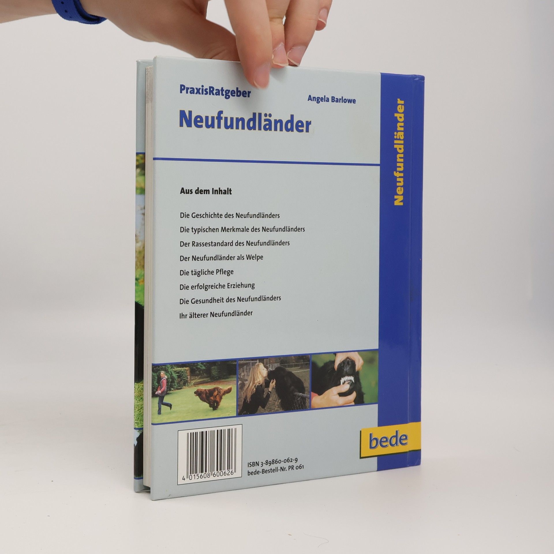 Angela Barlowe Neufundländer Praxisratgeber Hunde