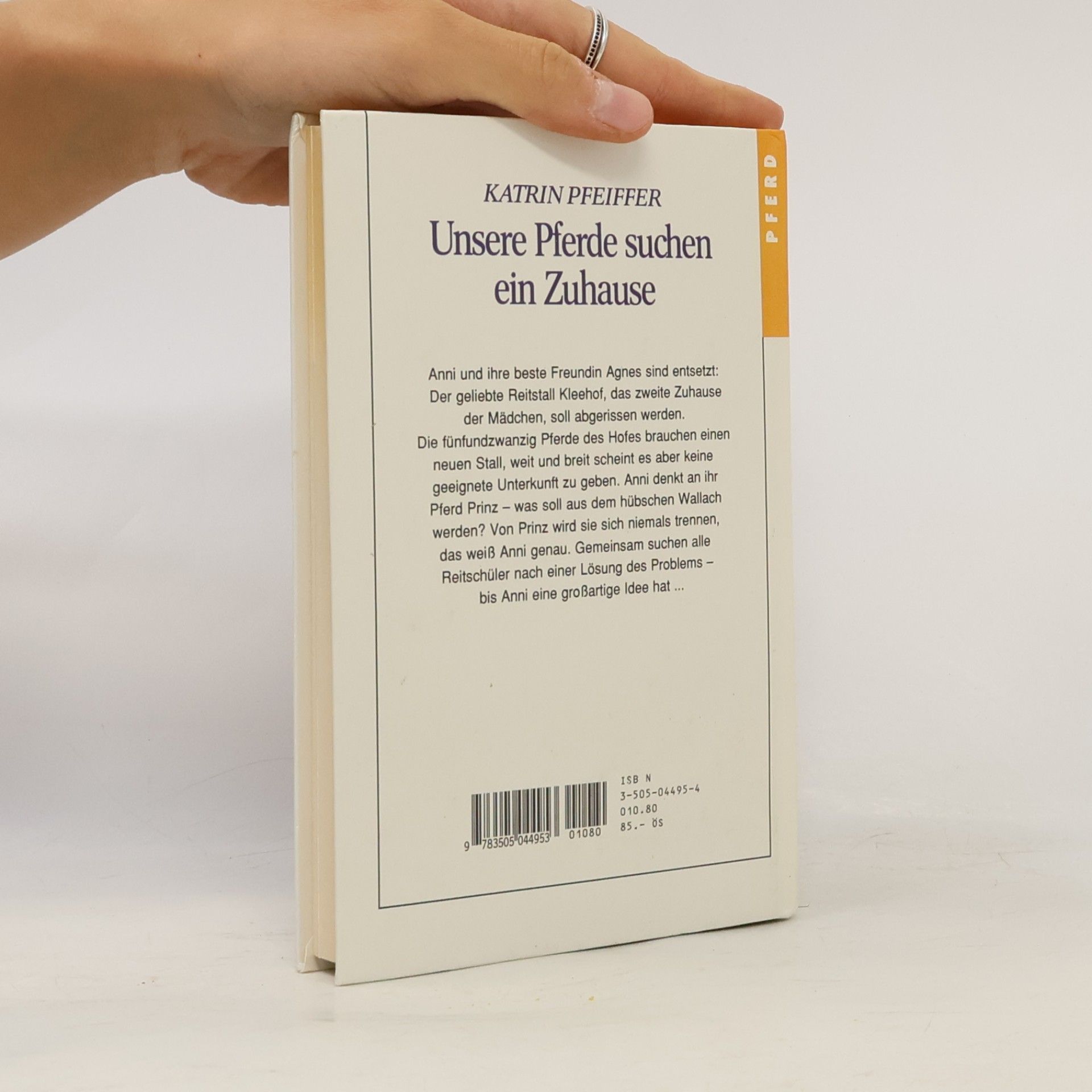 Katrin Pfeiffer Unsere Pferde suchen ein Zuhause