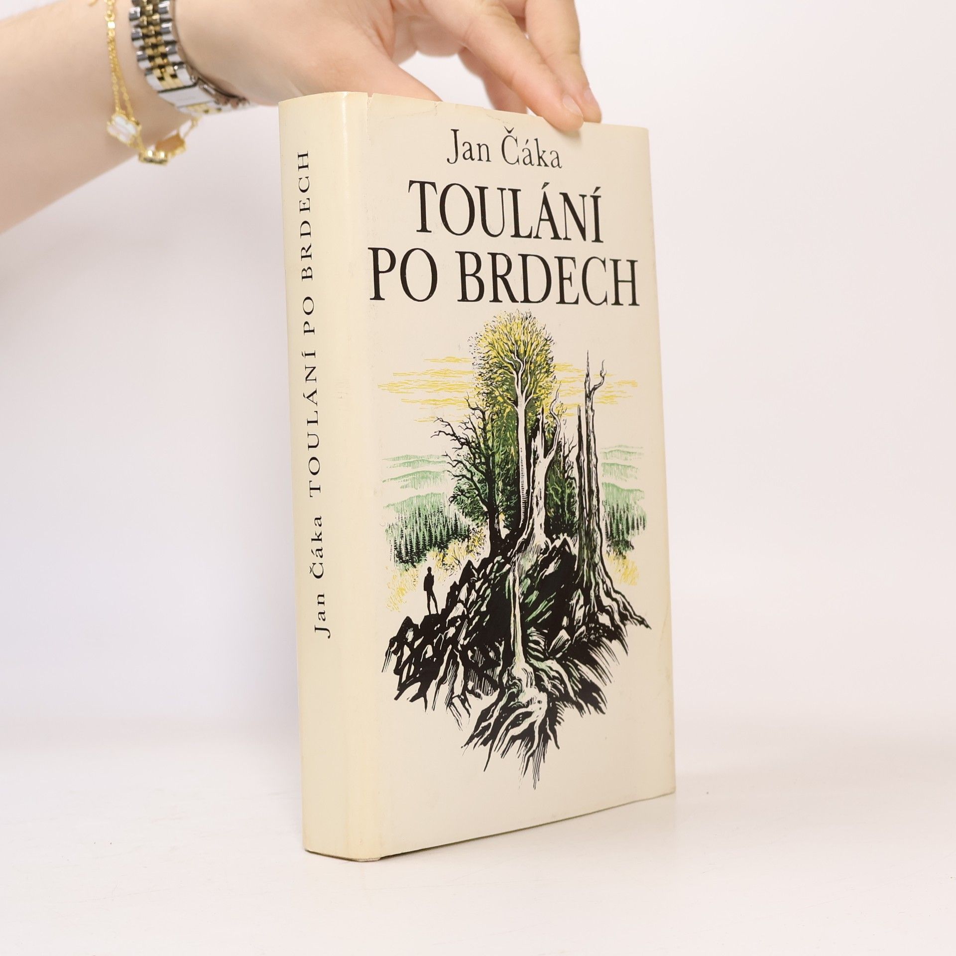 Toulání po Brdech