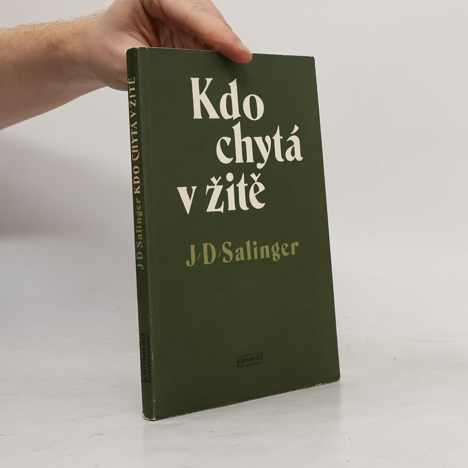 J. D. Salinger Kdo chytá v žitě
