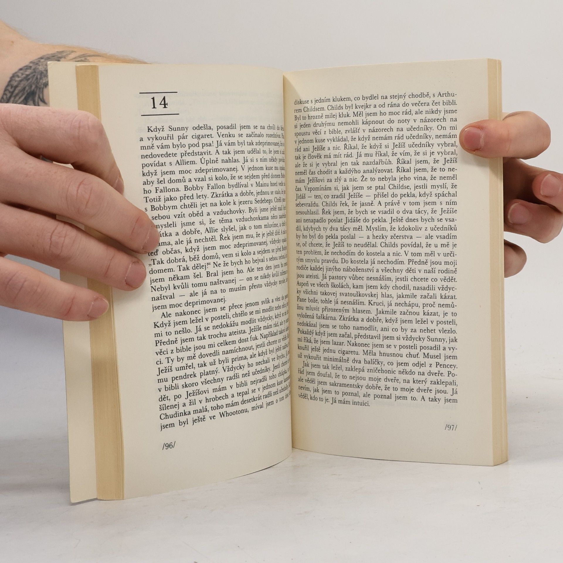J. D. Salinger Kdo chytá v žitě