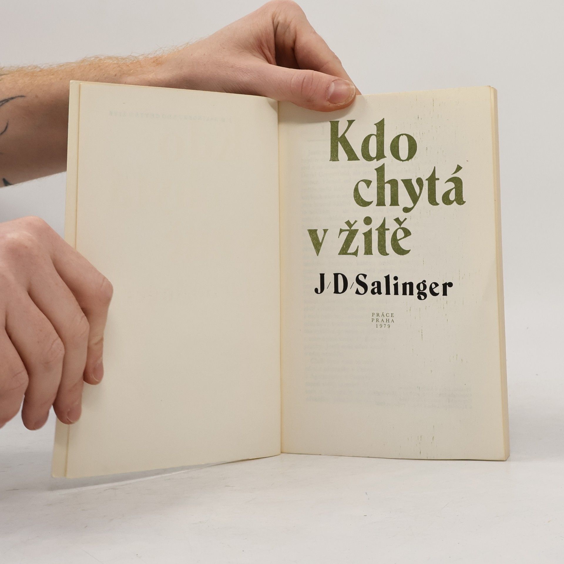 J. D. Salinger Kdo chytá v žitě