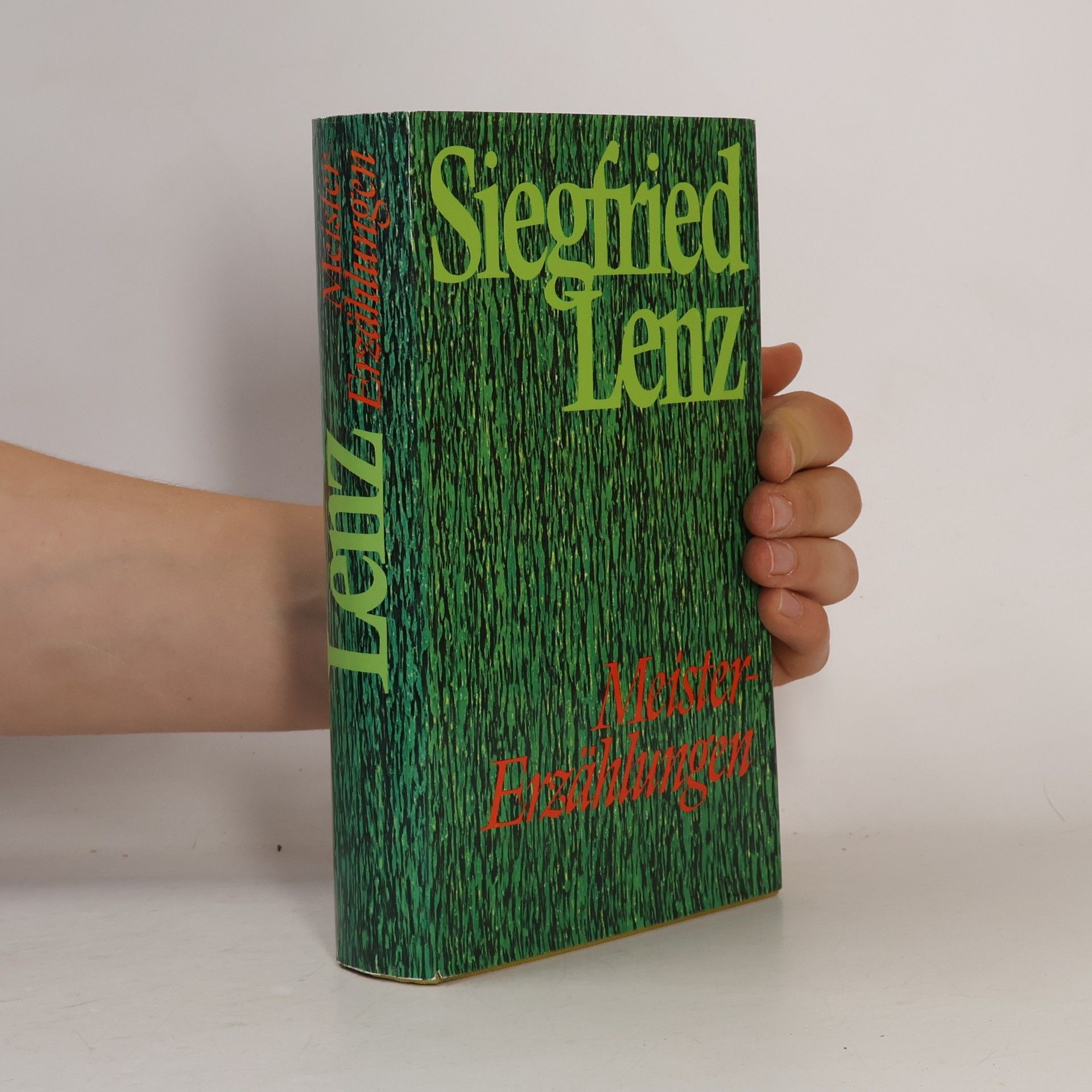 Siegfried Lenz Meistererzählungen