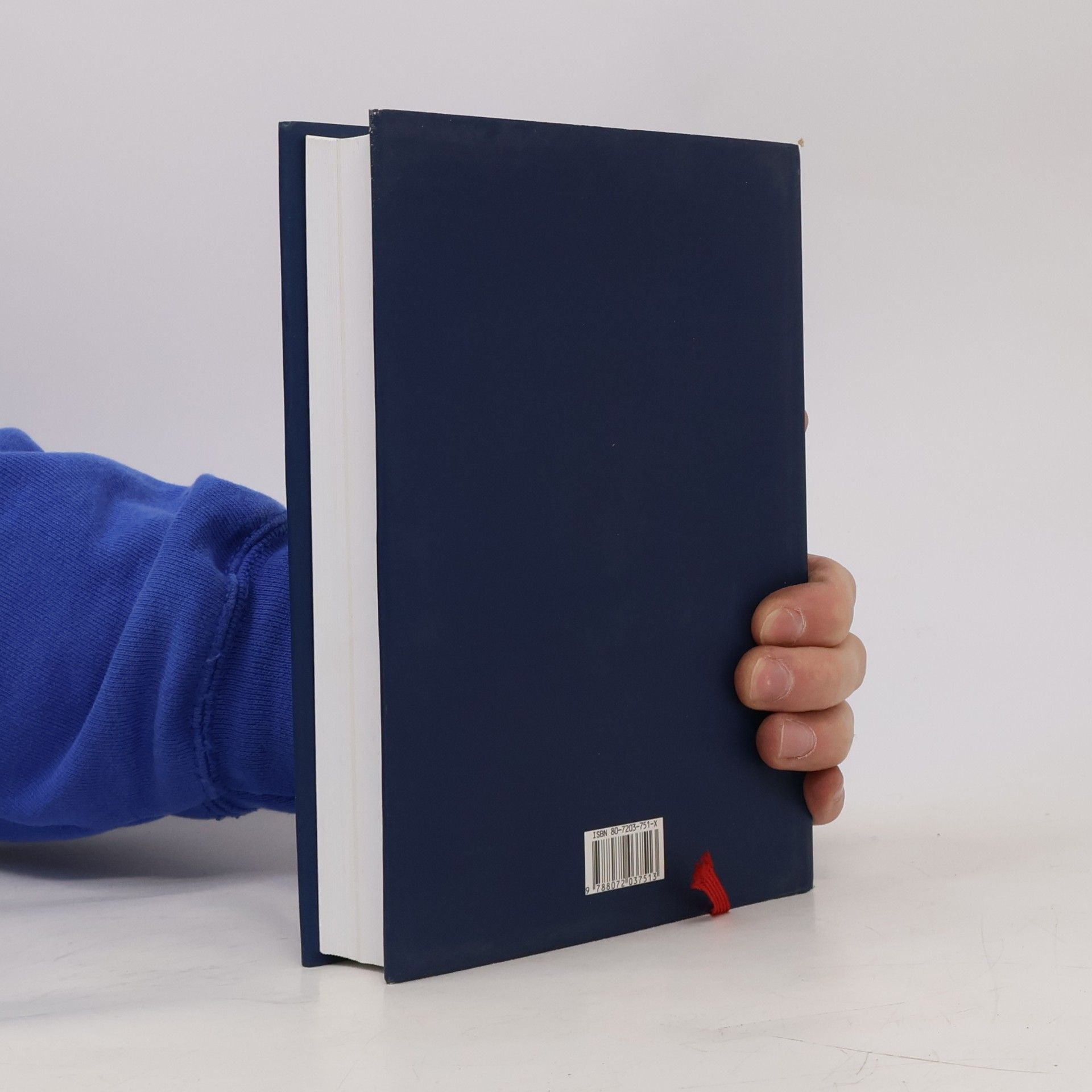 Autorenkollektiv Osvětim. 1270 až současnost