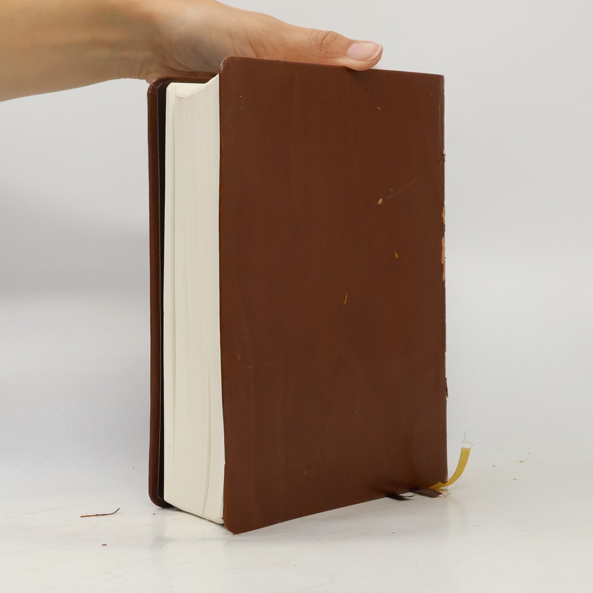 kolektiv Bible