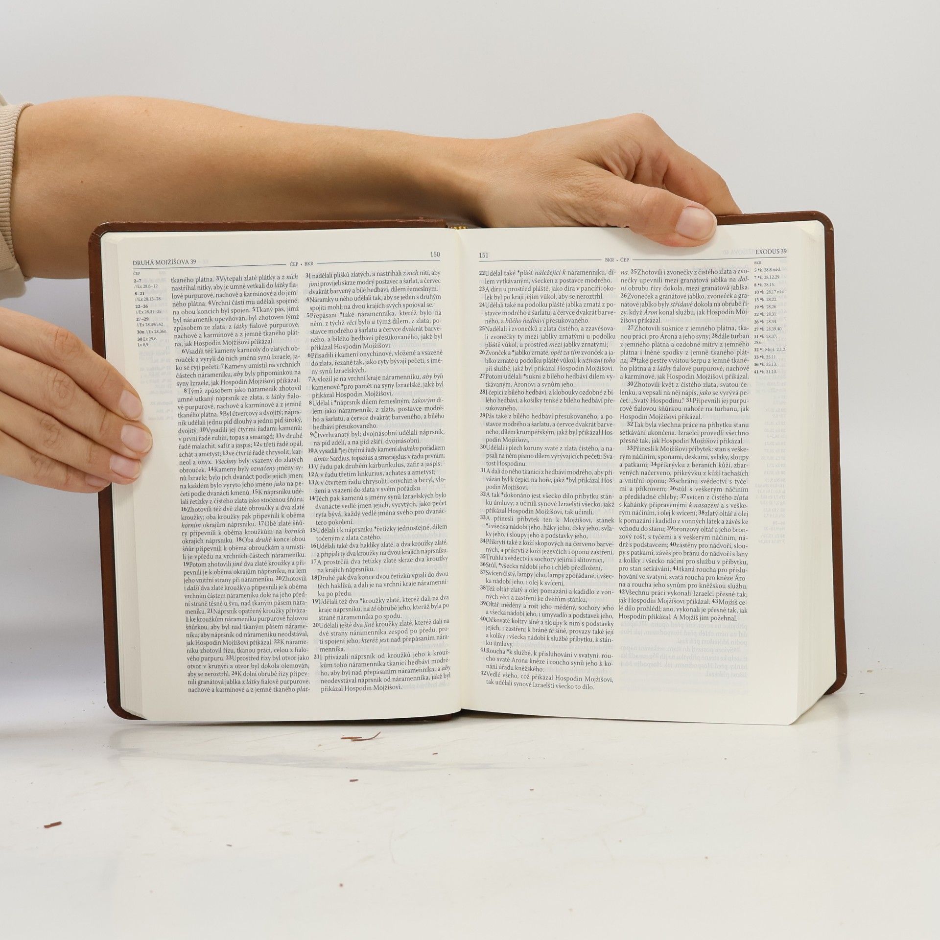 kolektiv Bible