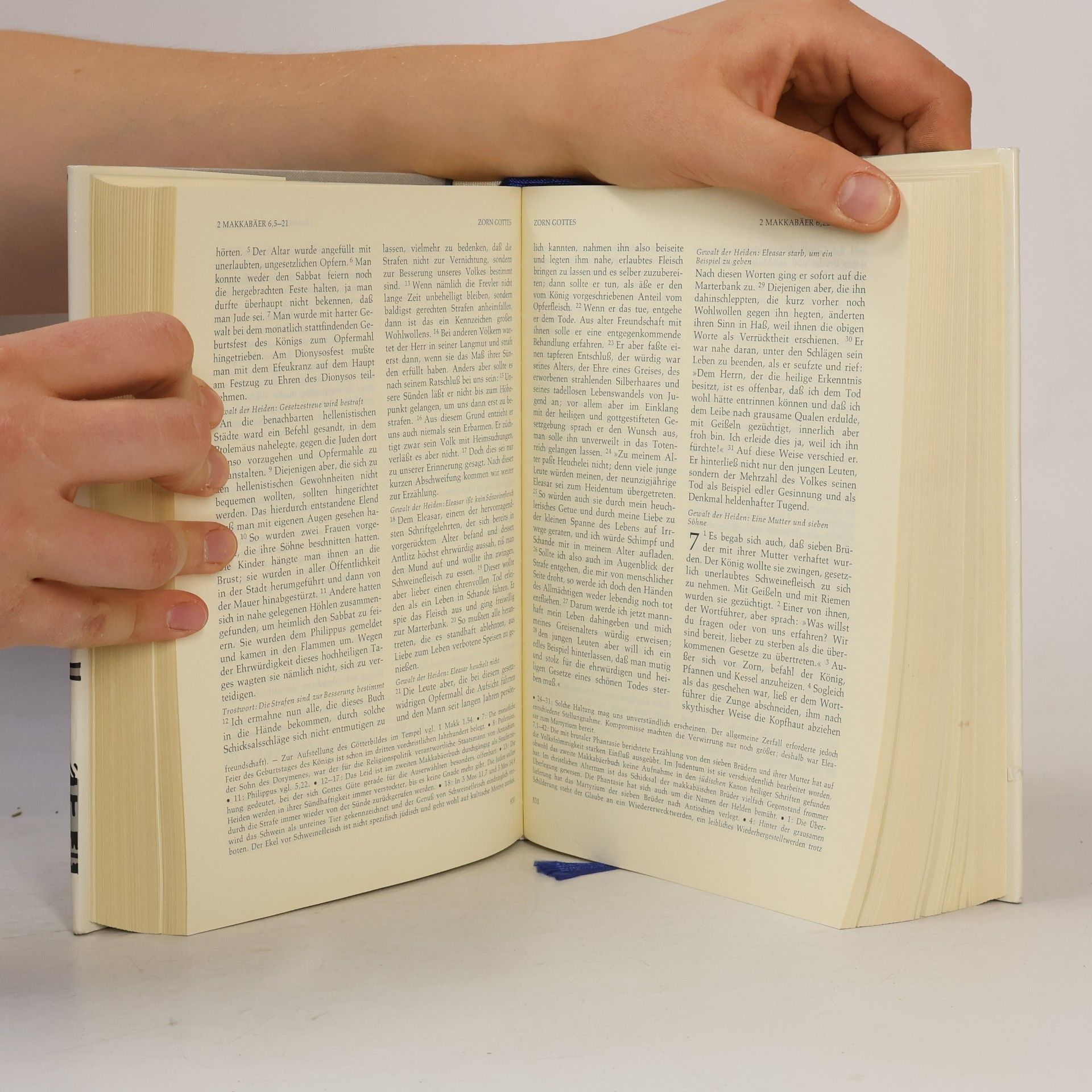kolektiv Die Heilige Schrift