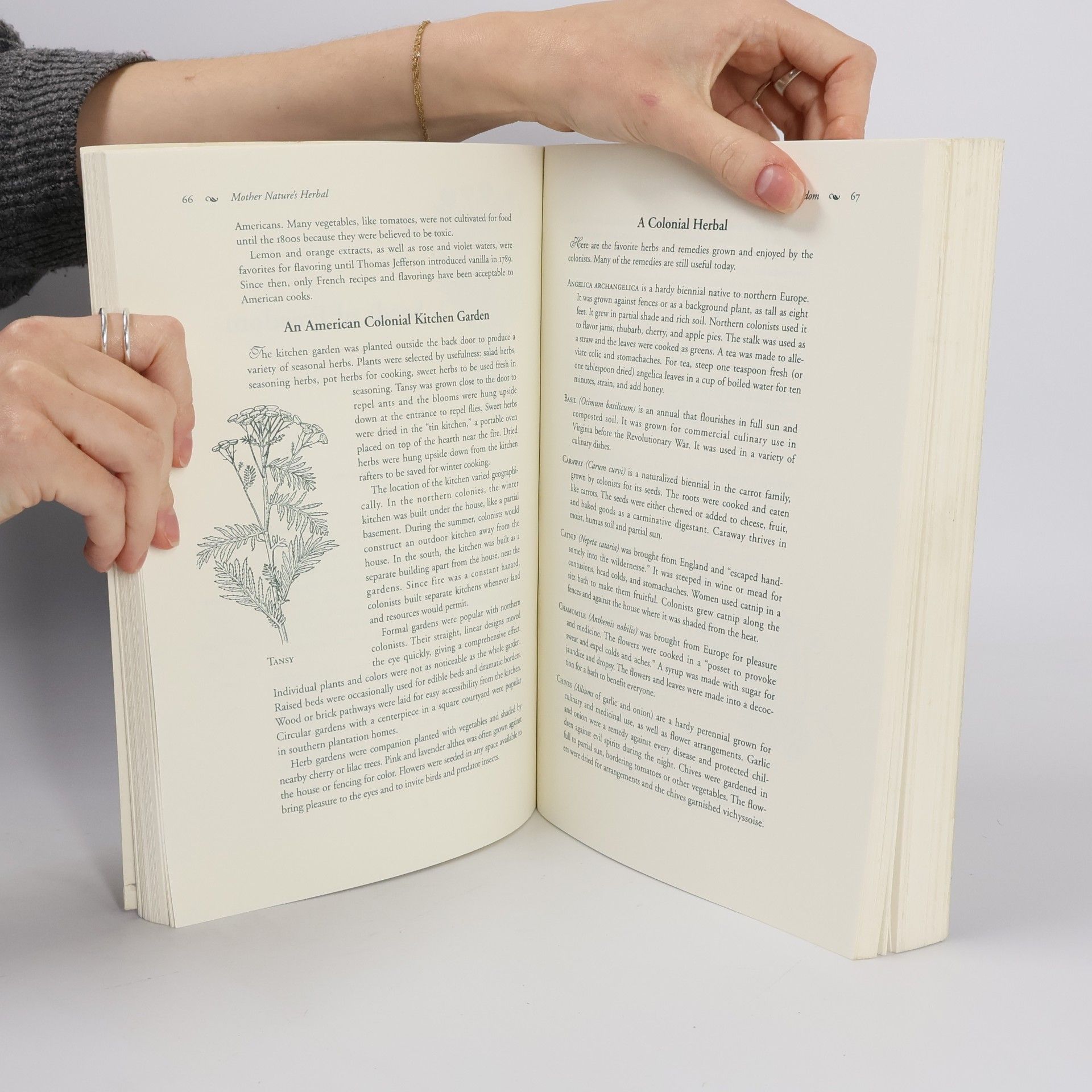 Judith Griffin Llewellyn's Whole Life Series: Mother Nature's Herbal