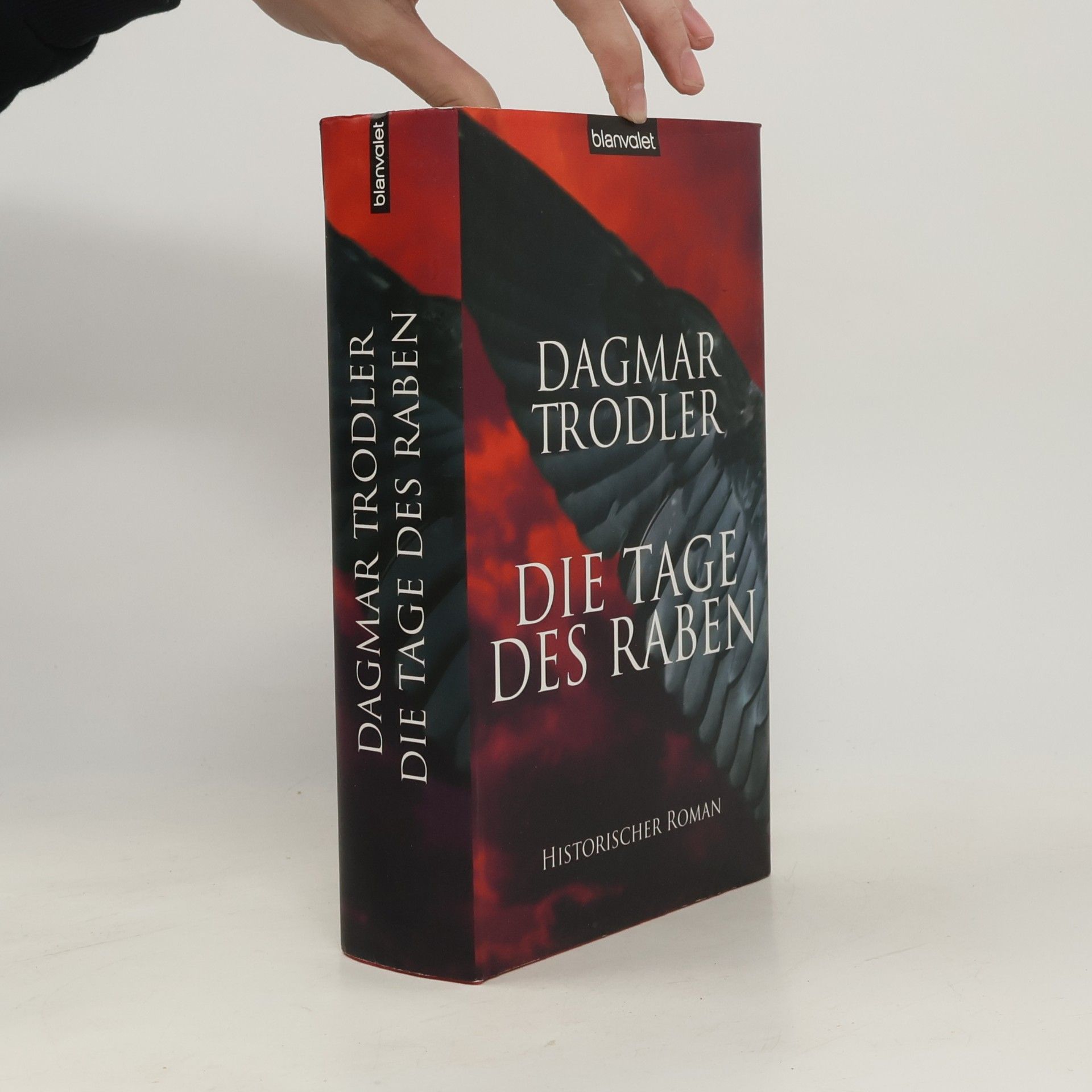 Dagmar Trodler Die Tage des Raben