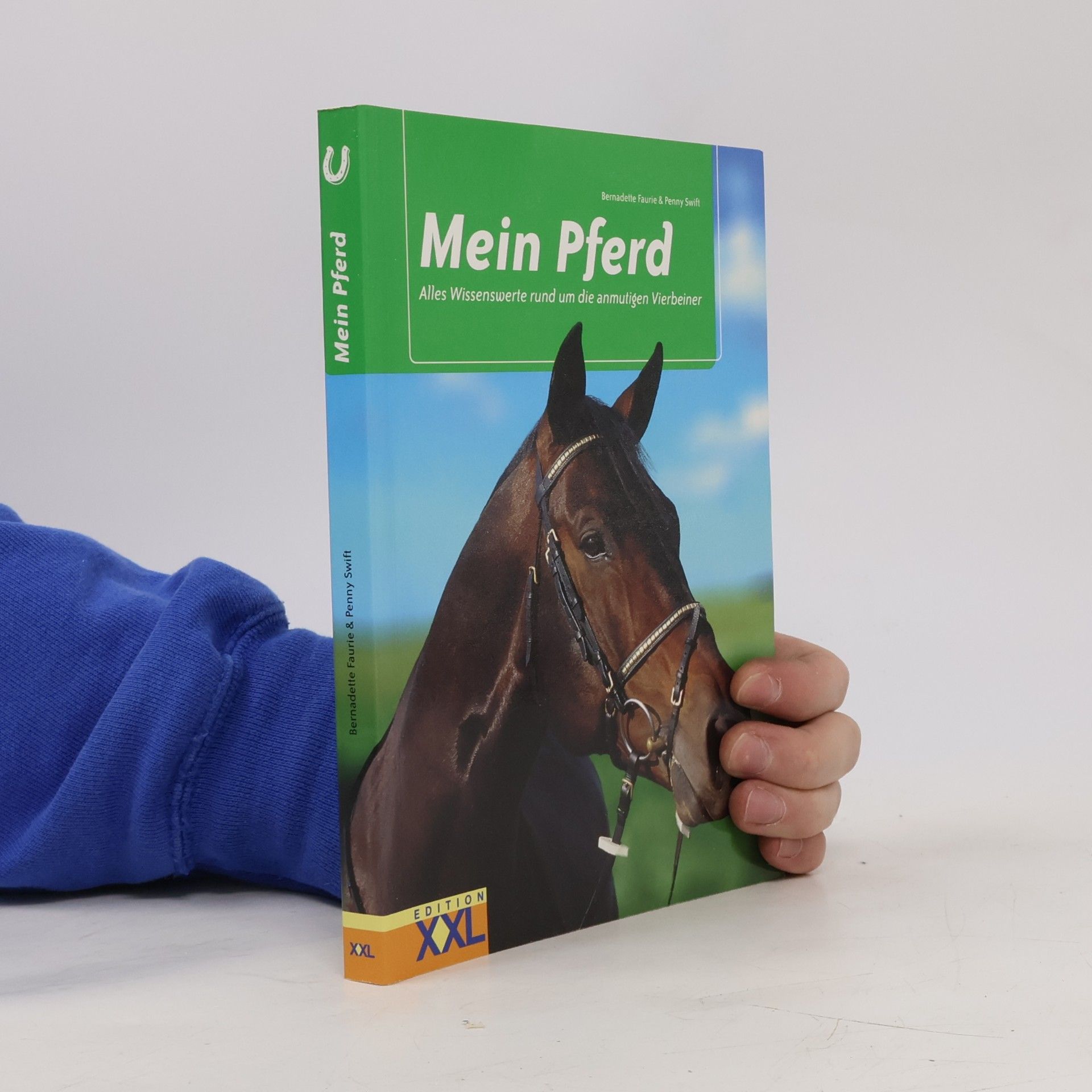 Bernadette Faurie Mein Pferd