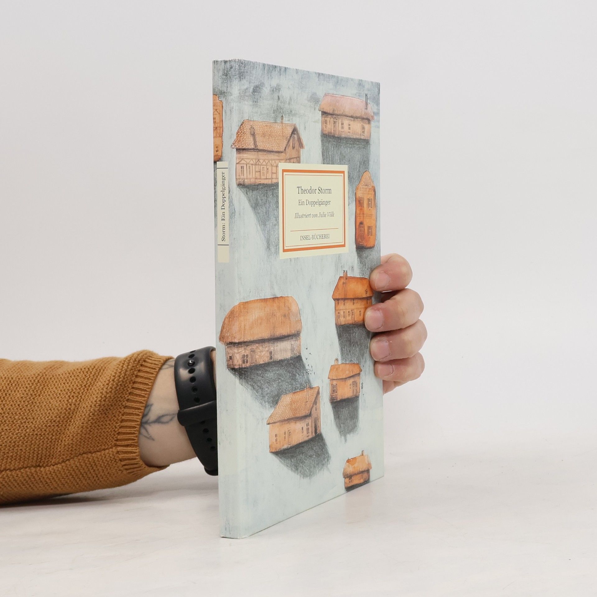 Julie Völk Insel-Bücherei: Ein Doppelgänger: Großformatige Sonderausgabe