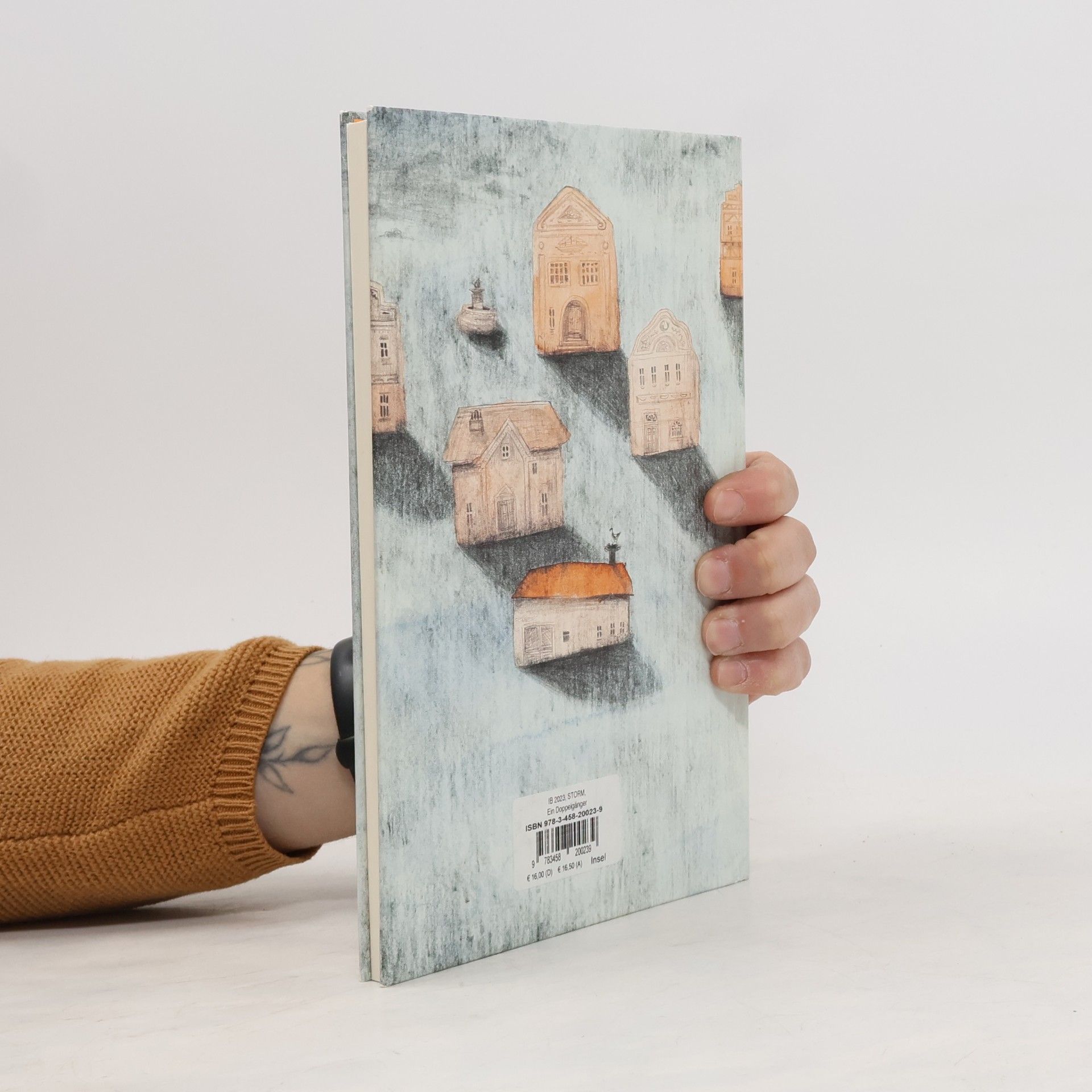 Theodor Storm Insel-Bücherei: Ein Doppelgänger: Großformatige Sonderausgabe