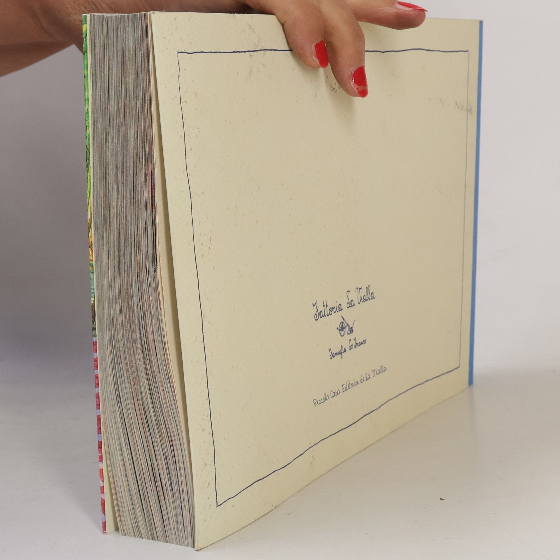 Autorenkollektiv Le Ricette delle Cuoche de la Vialla e... n. 2