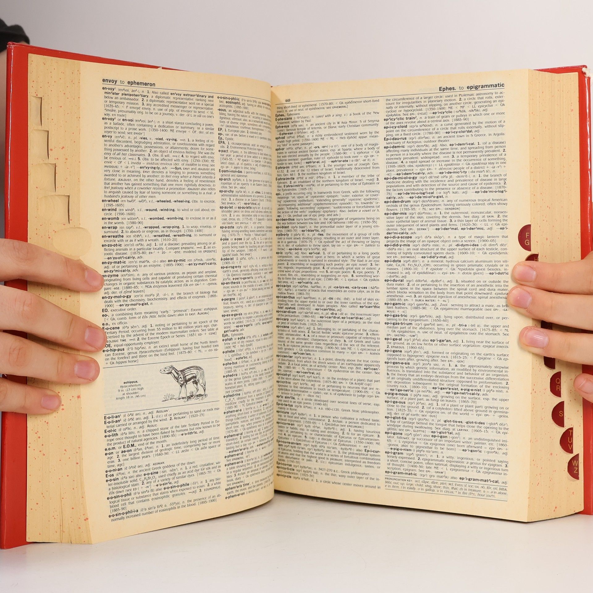 Webster's College Dictionary