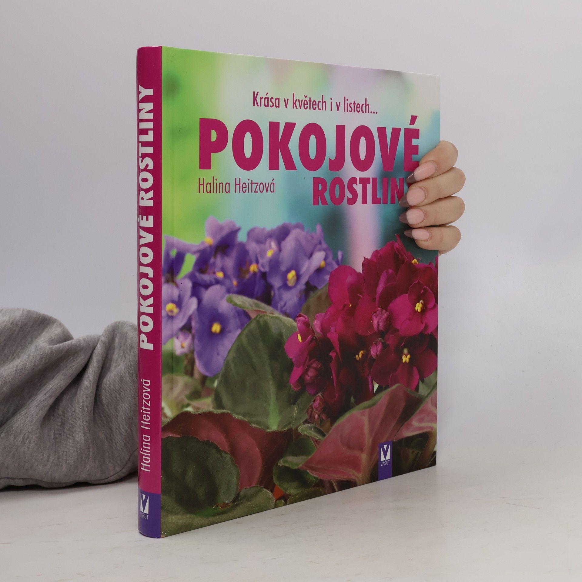 Autorenkollektiv Pokojové rostliny