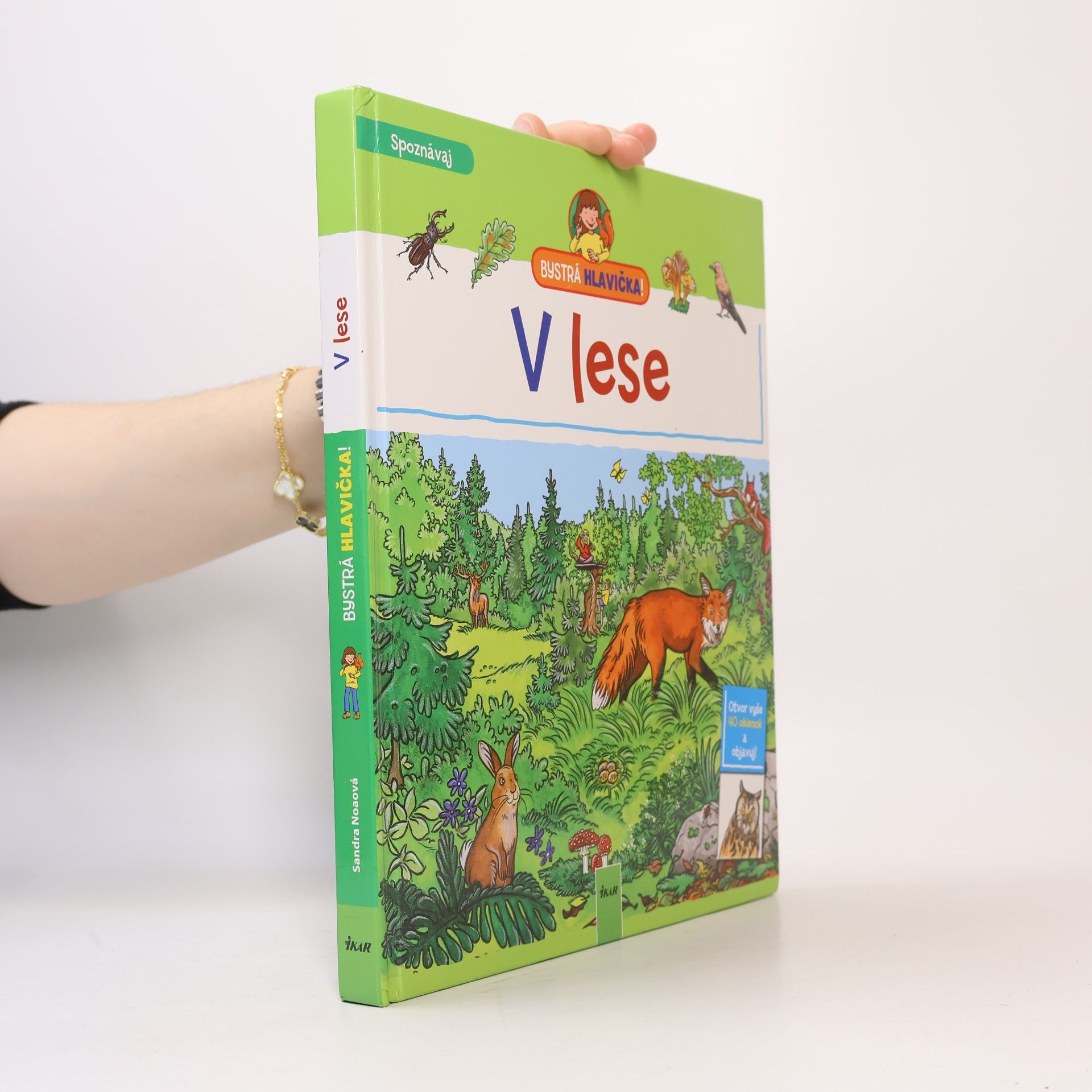 V lese